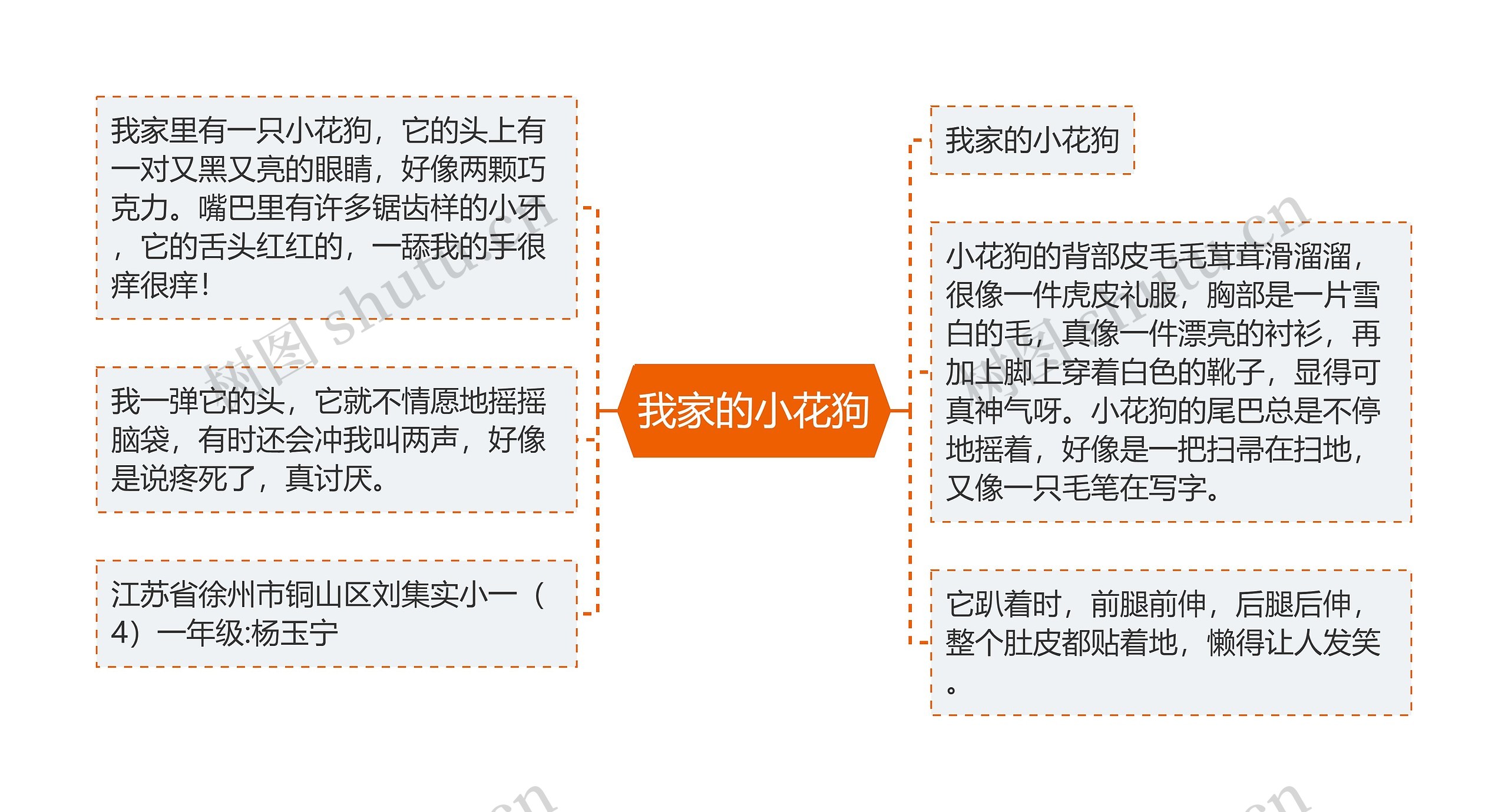 我家的小花狗思维导图高清图 我家的小花狗思维导图