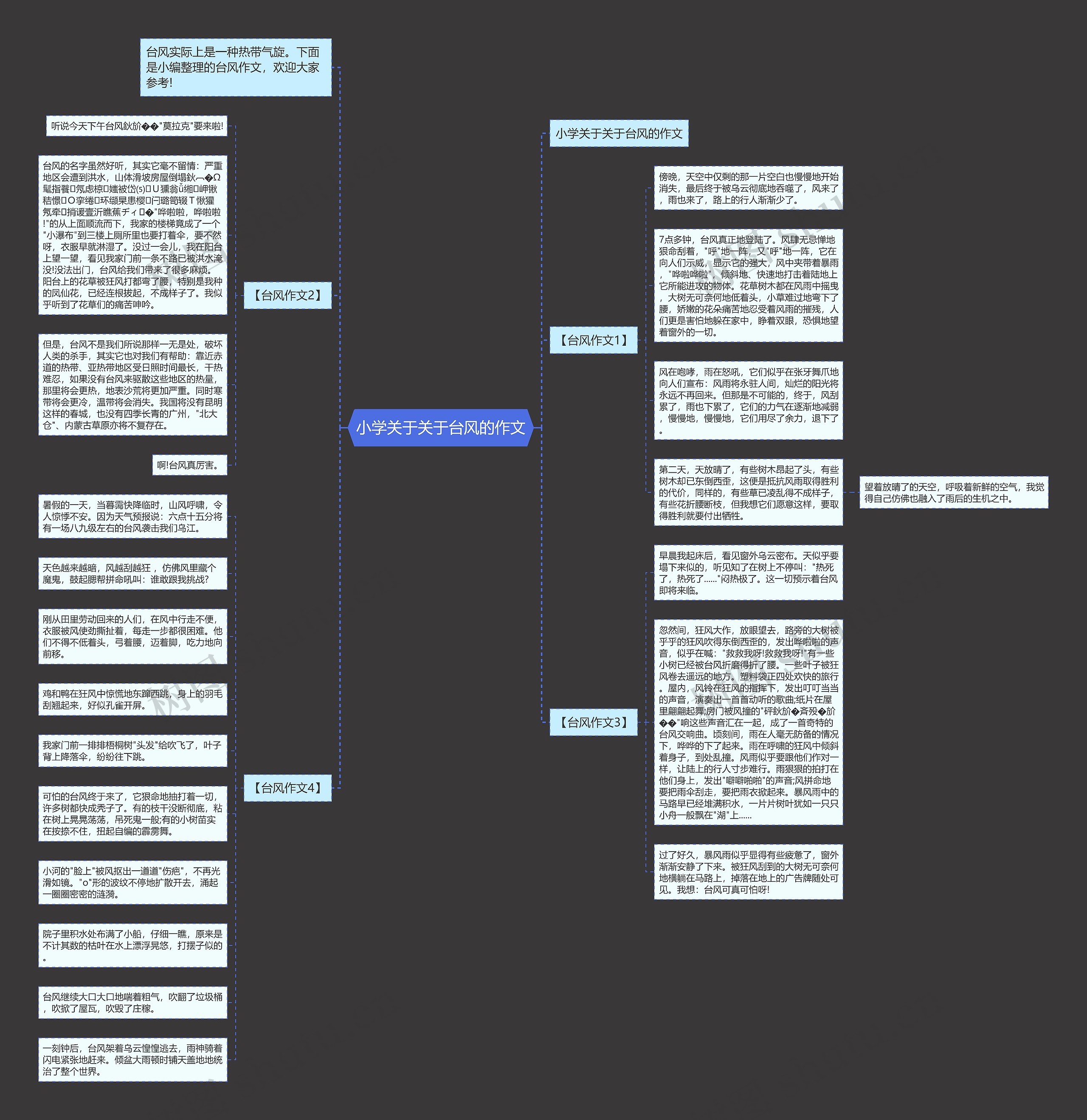 小学关于关于台风的作文 小学关于关于台风的作文