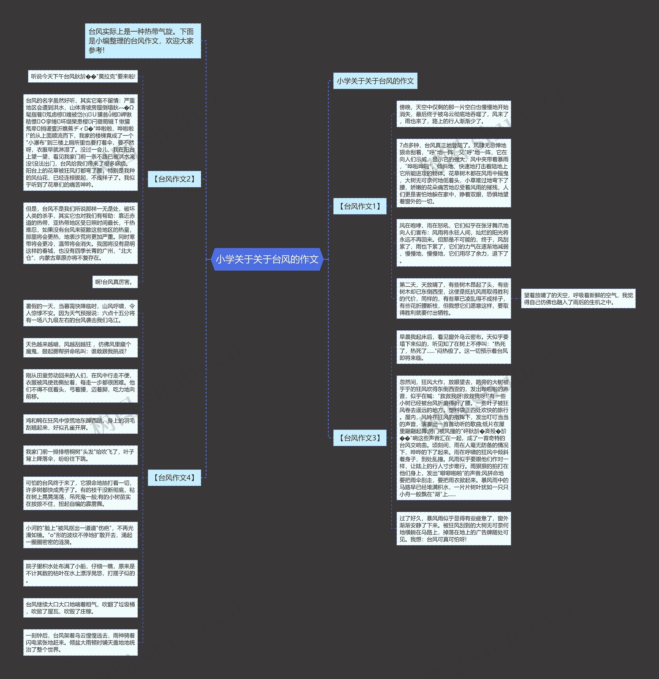 小学关于关于台风的作文思维导图