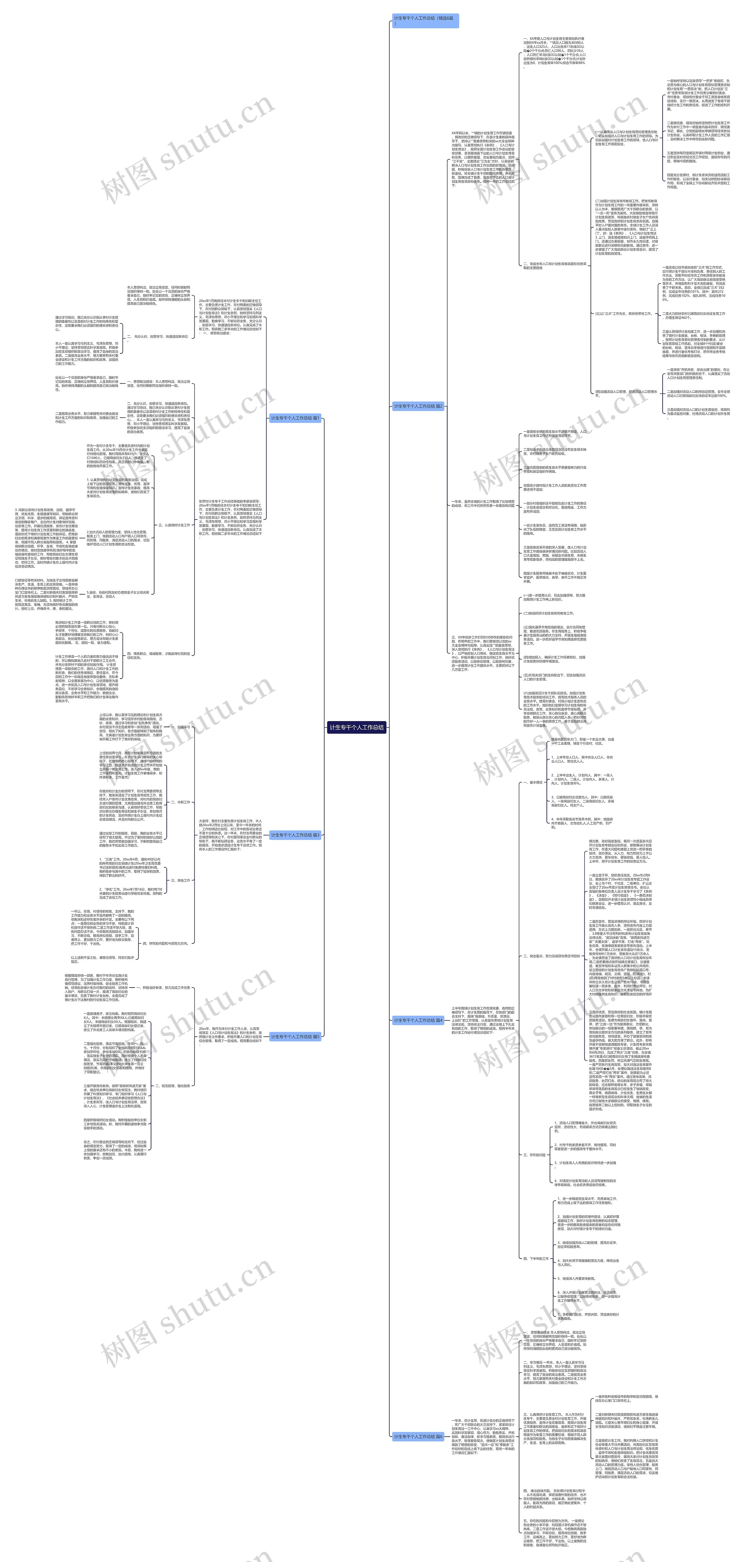 计生专干个人工作总结思维导图