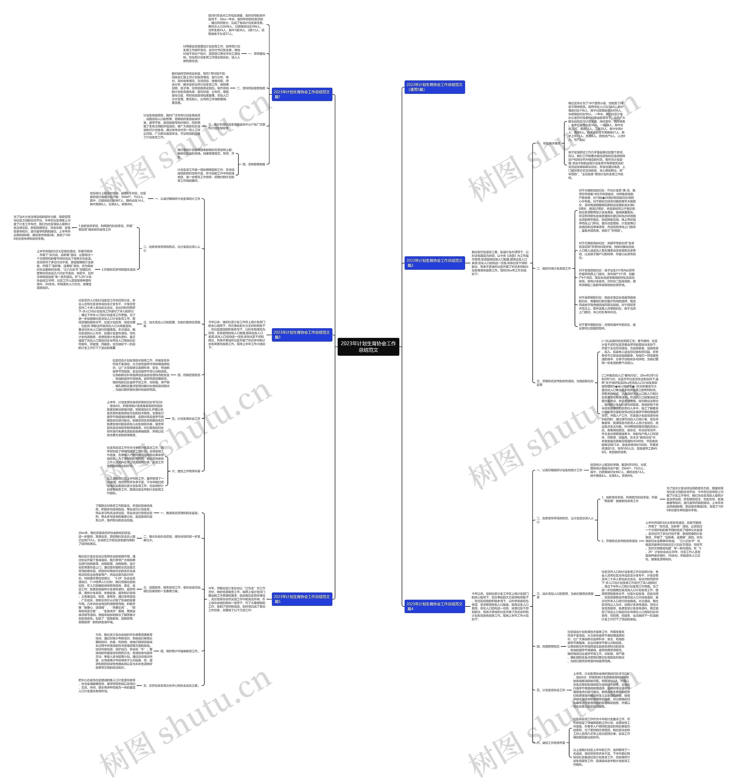 2023年计划生育协会工作总结范文思维导图