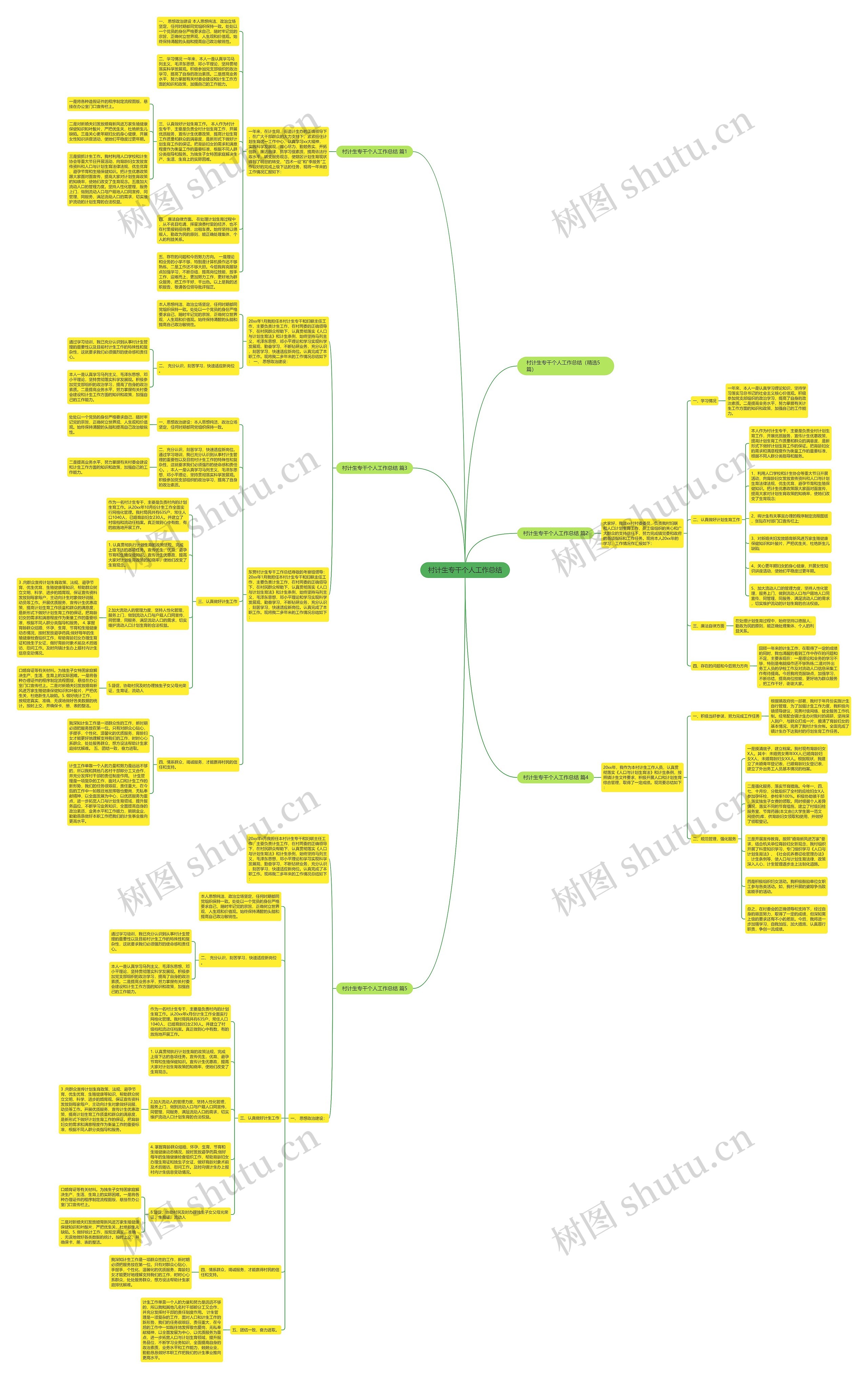 村计生专干个人工作总结思维导图