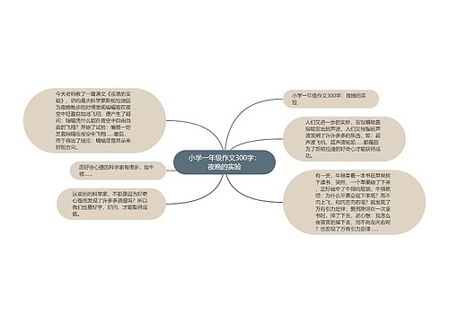 小学一年级作文300字：夜晚的实验