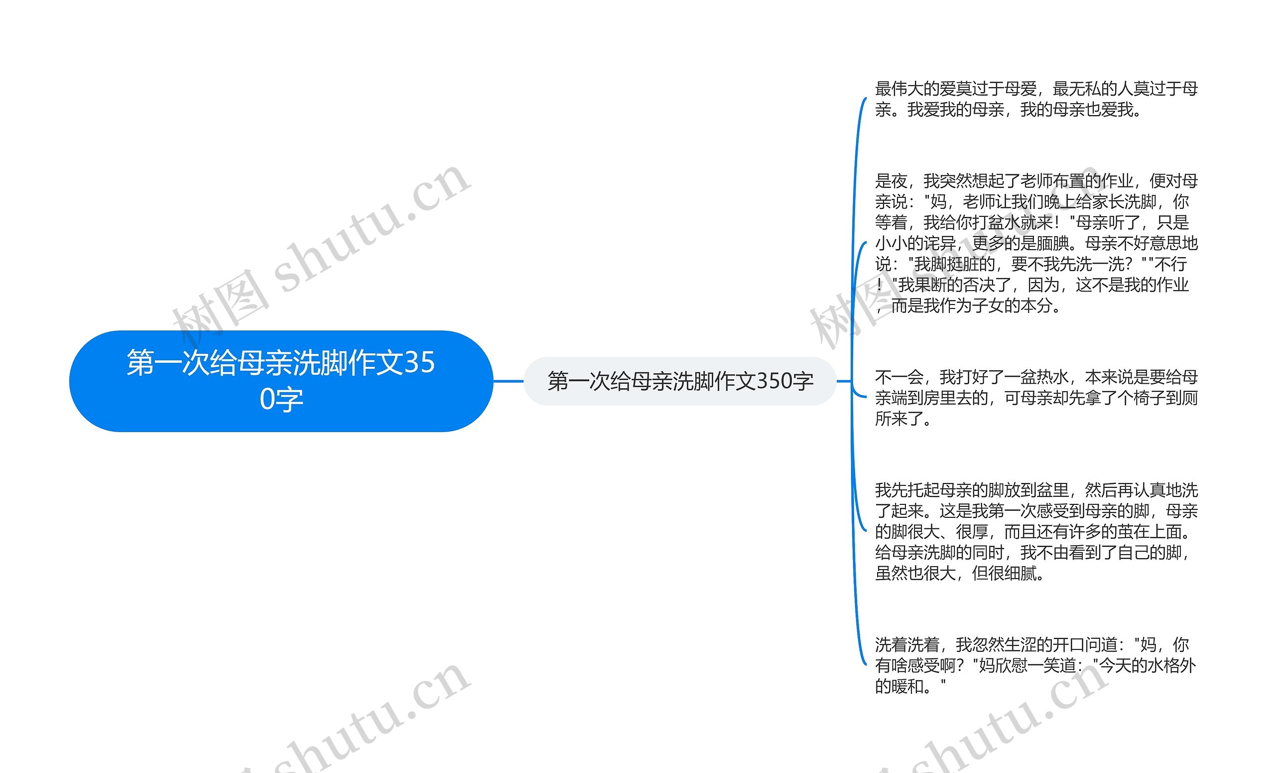 第一次给母亲洗脚作文350字思维导图