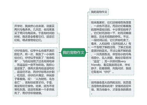 我的宠物作文