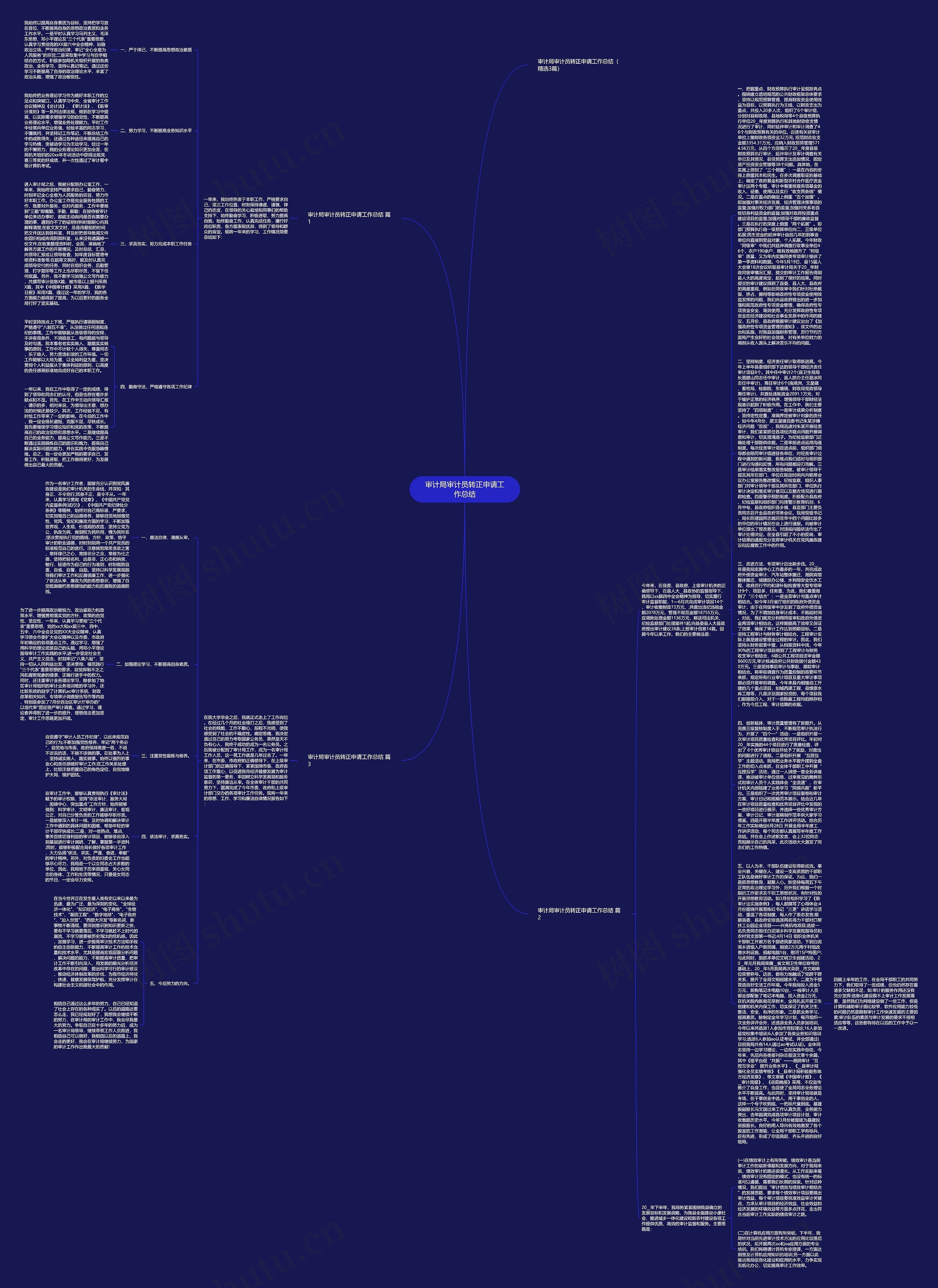 审计局审计员转正申请工作总结思维导图