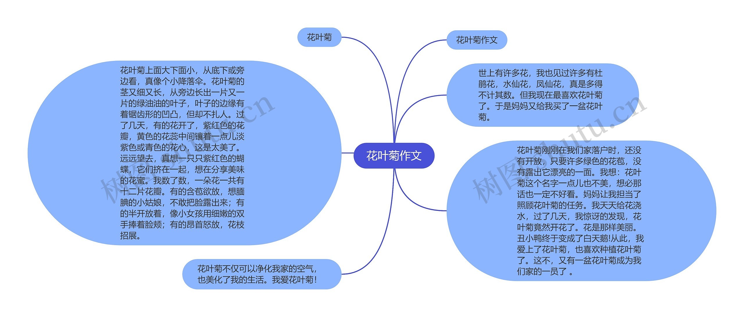 花叶菊作文思维导图