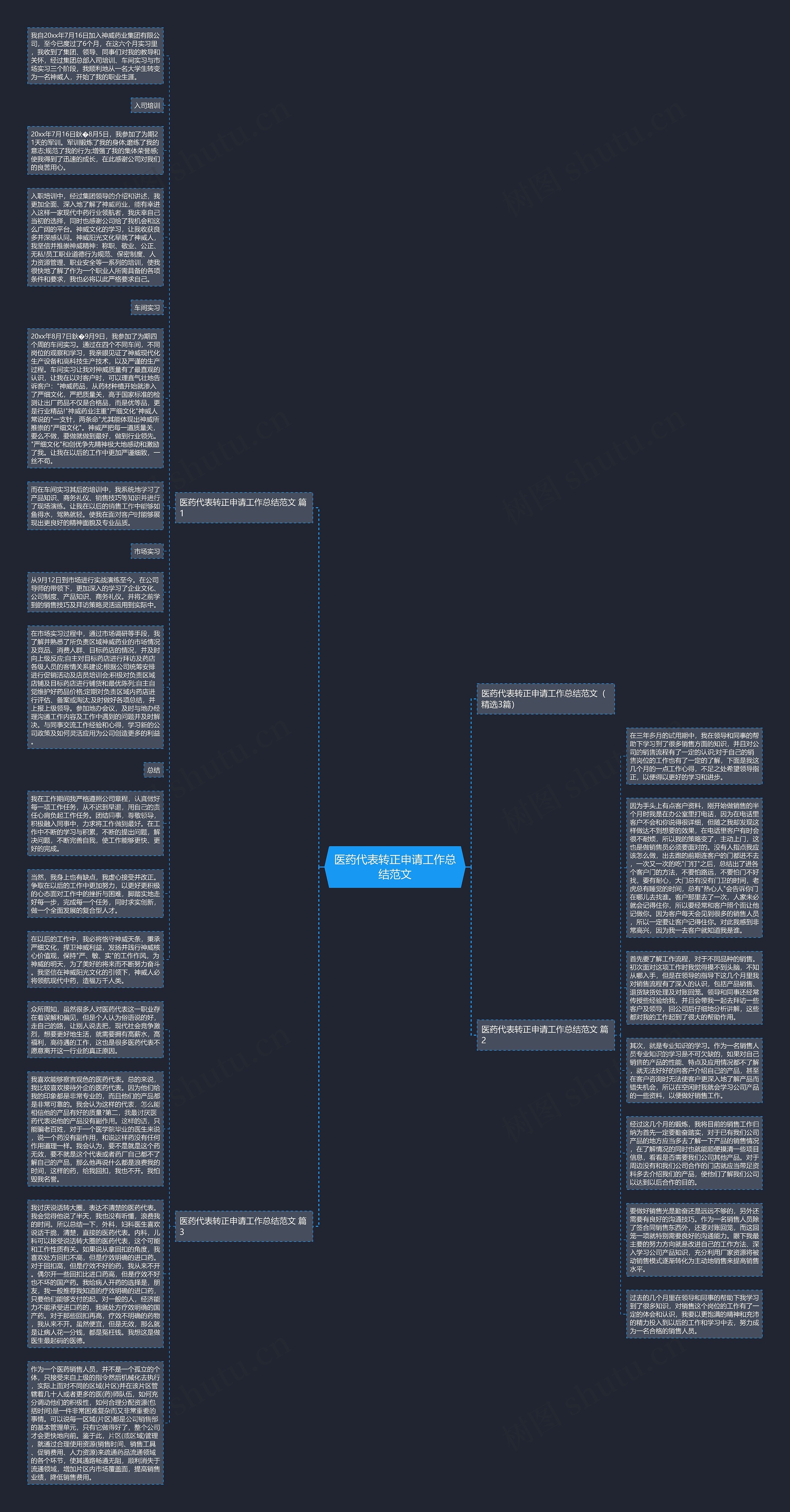 医药代表转正申请工作总结范文思维导图