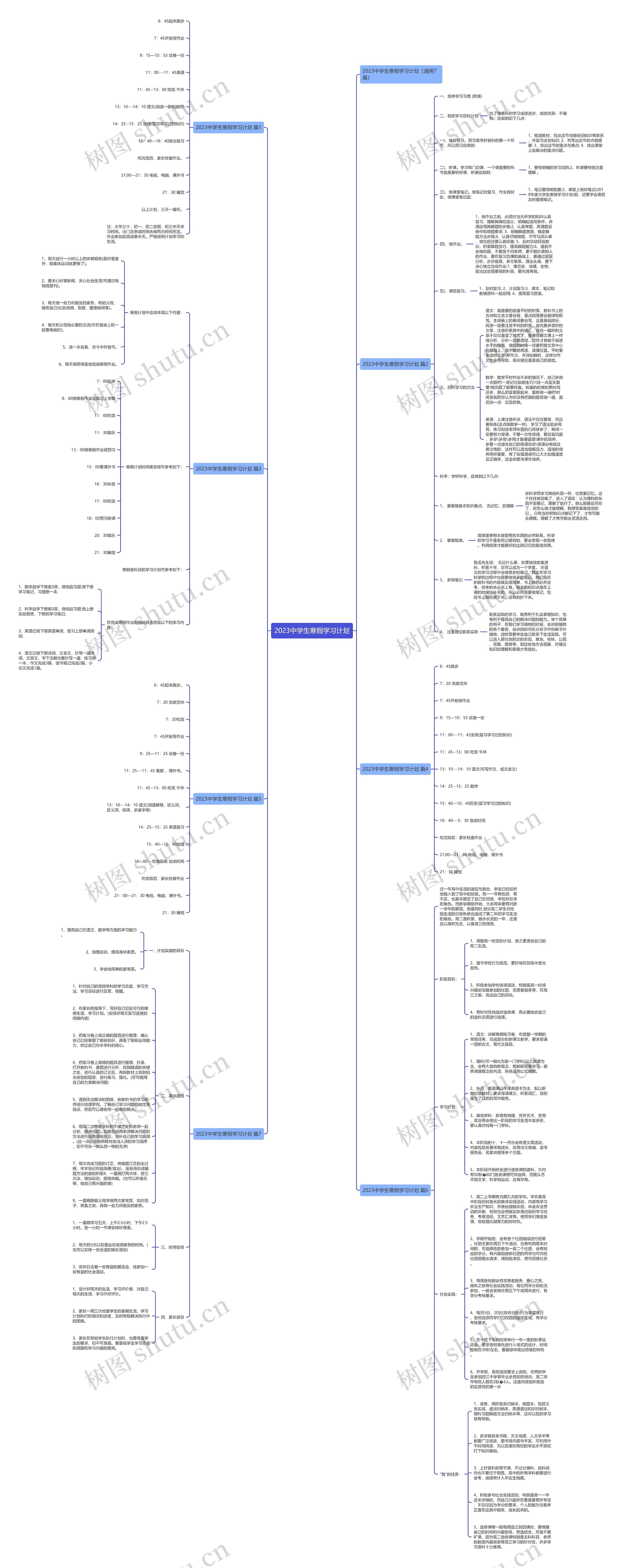 2023中学生寒假学习计划 2023中学生寒假学习计划