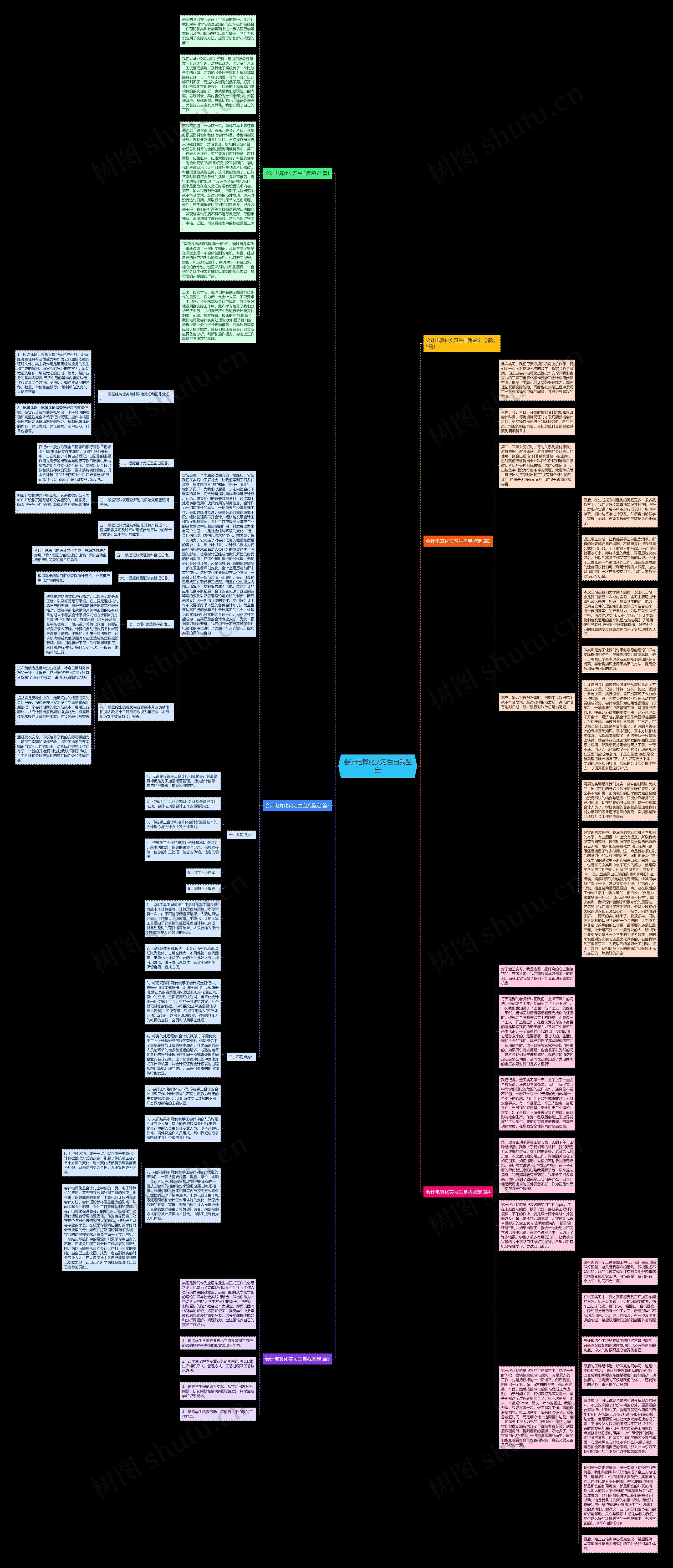 会计电算化实习生自我鉴定思维导图