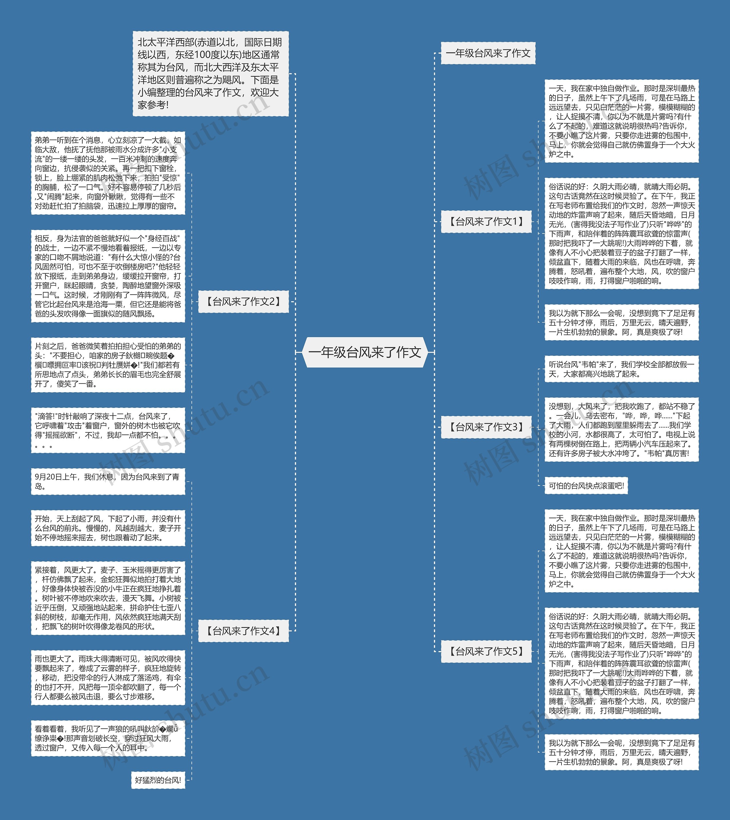 一年级台风来了作文思维导图