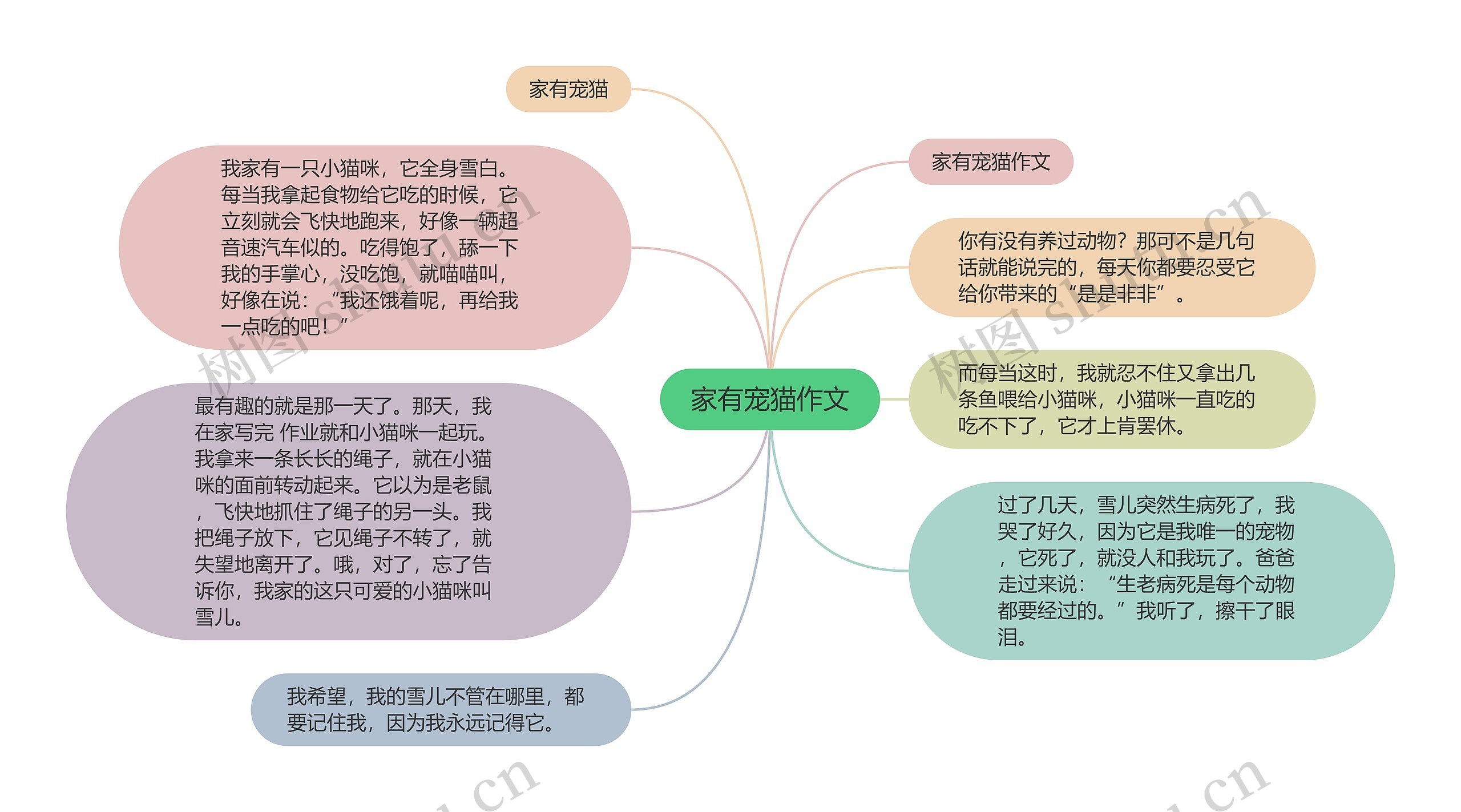 家有宠猫作文