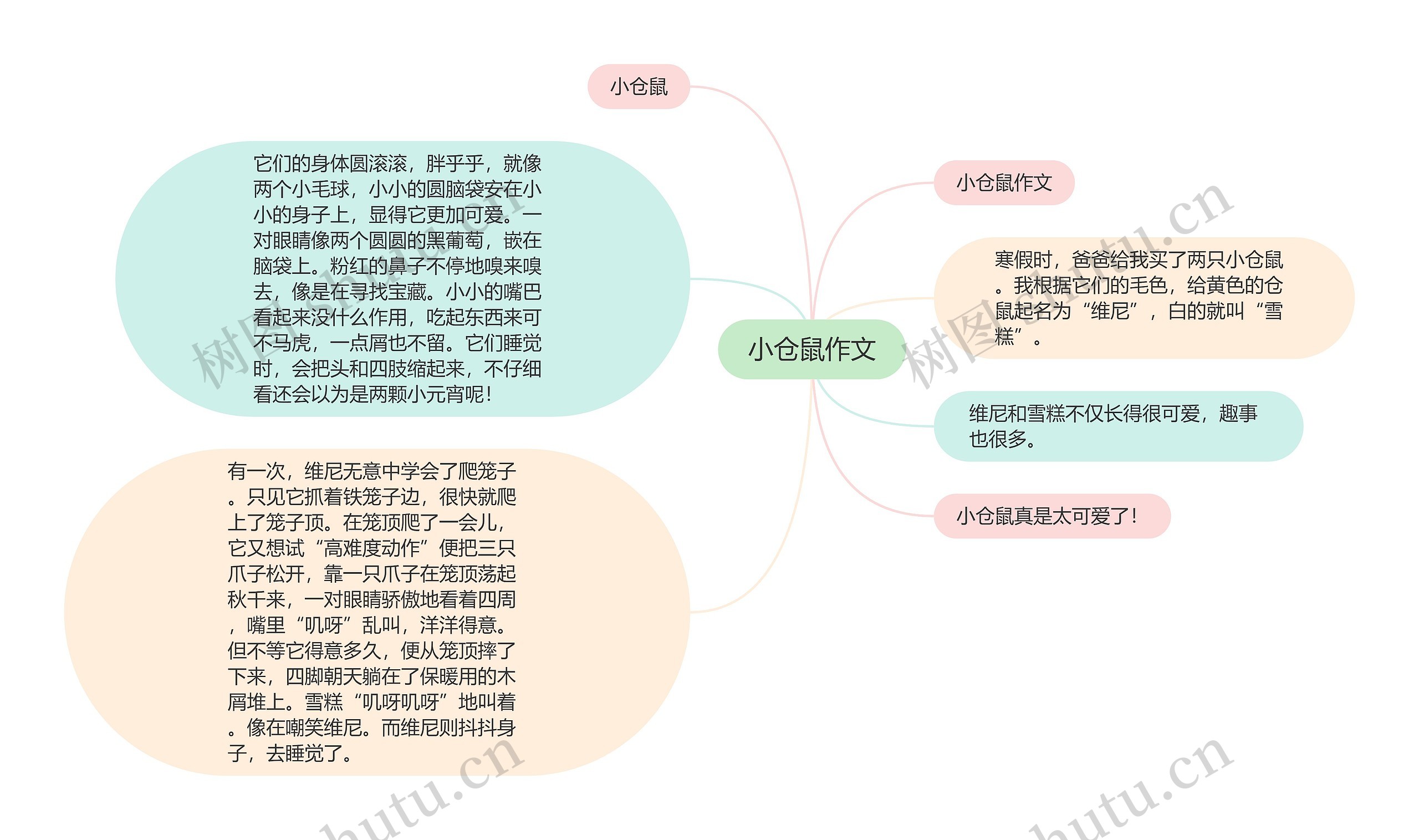 小仓鼠作文