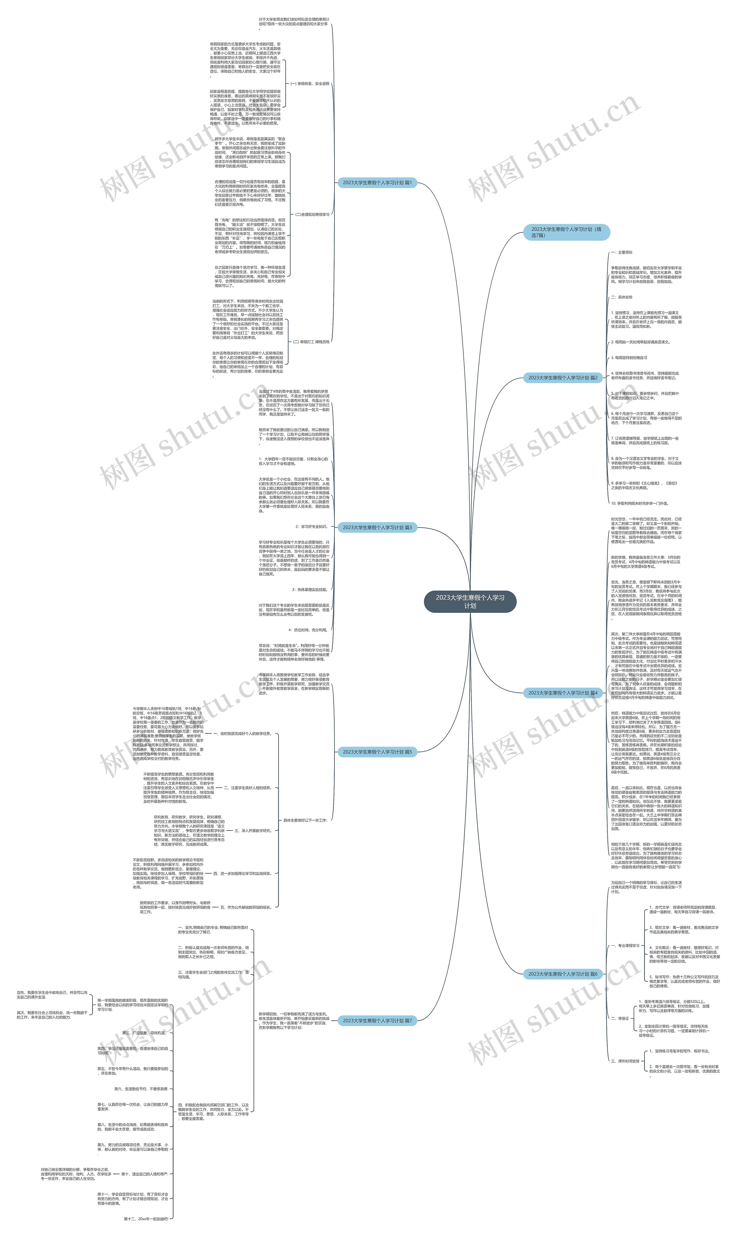 2023大学生寒假个人学习计划思维导图