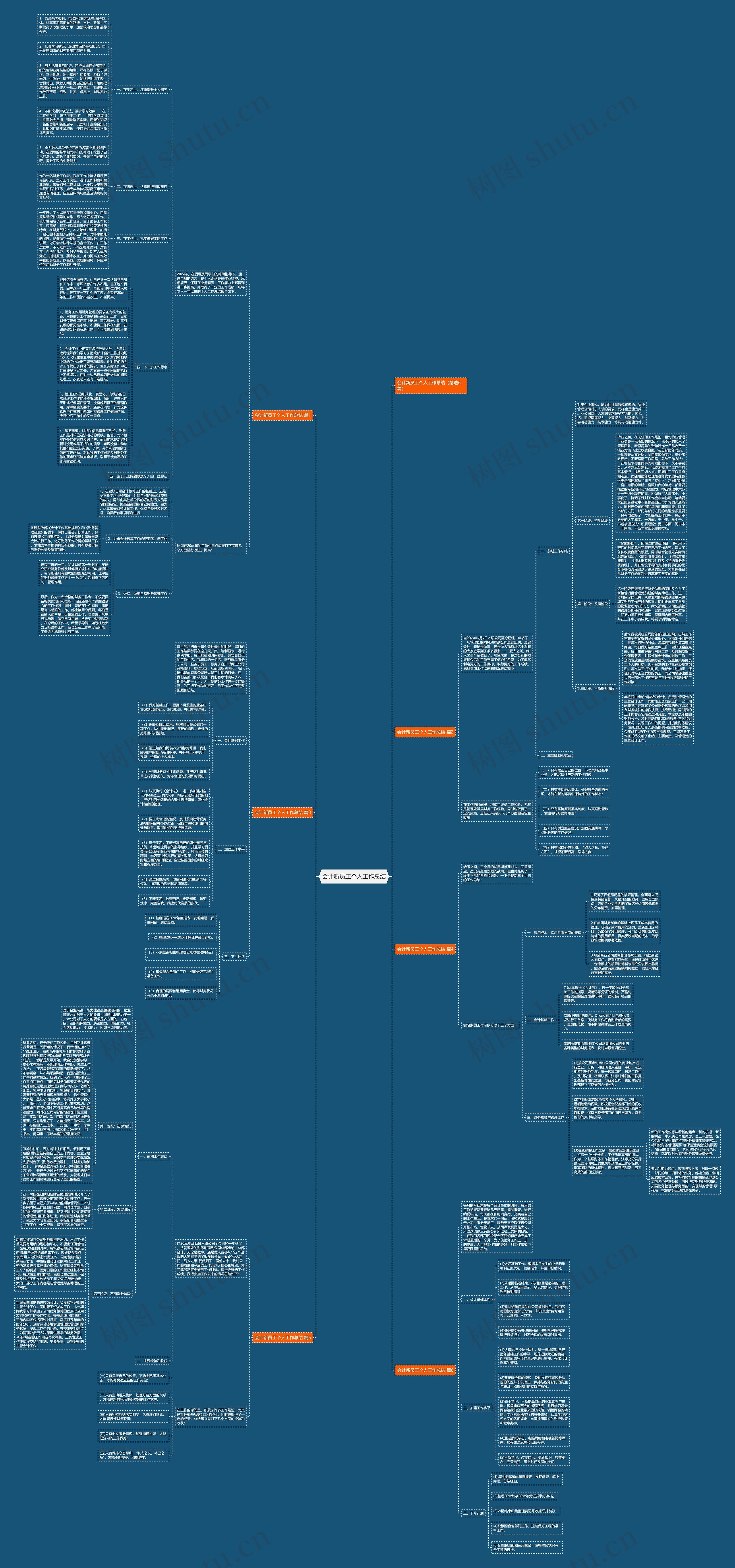 会计新员工个人工作总结思维导图