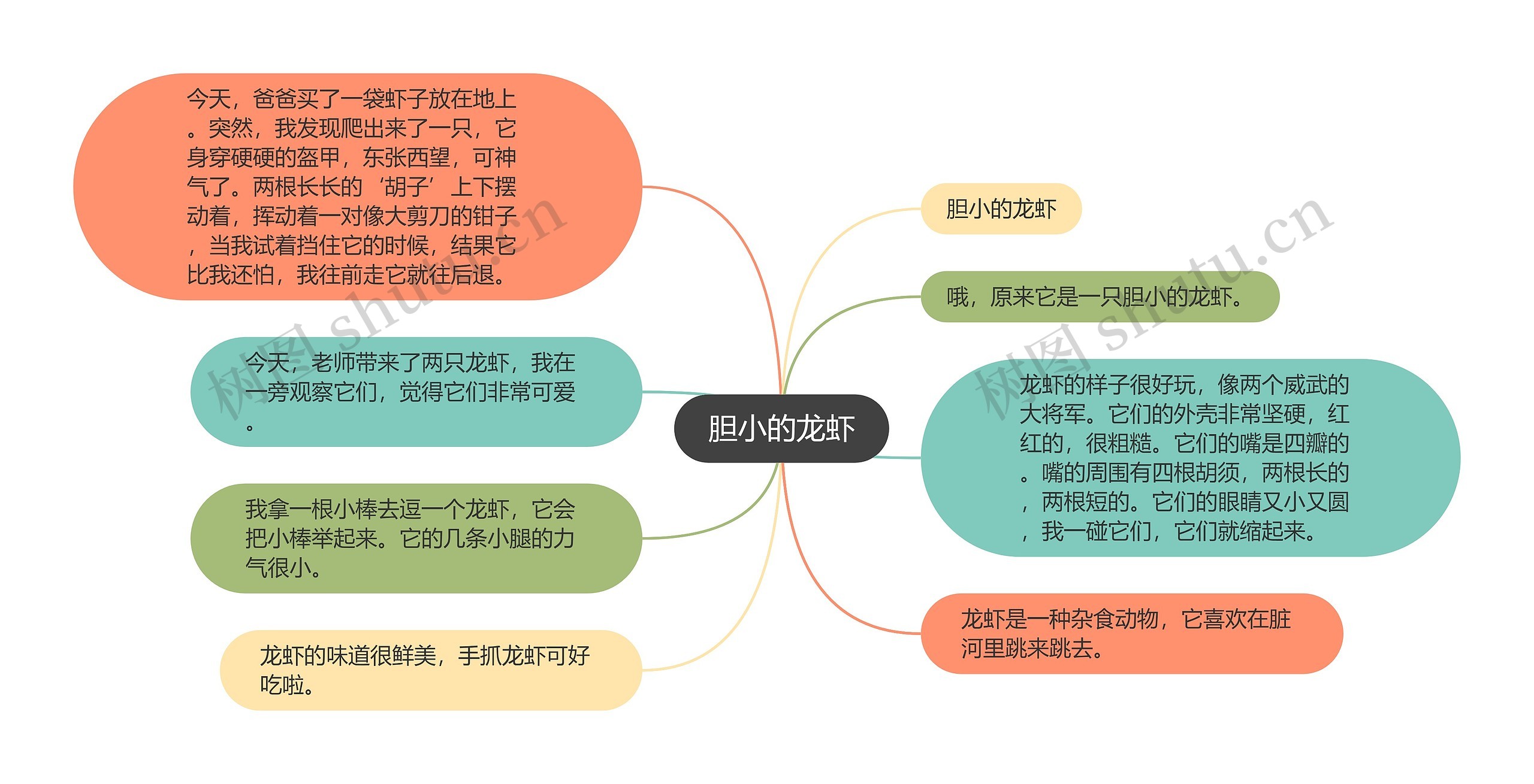 胆小的龙虾思维导图