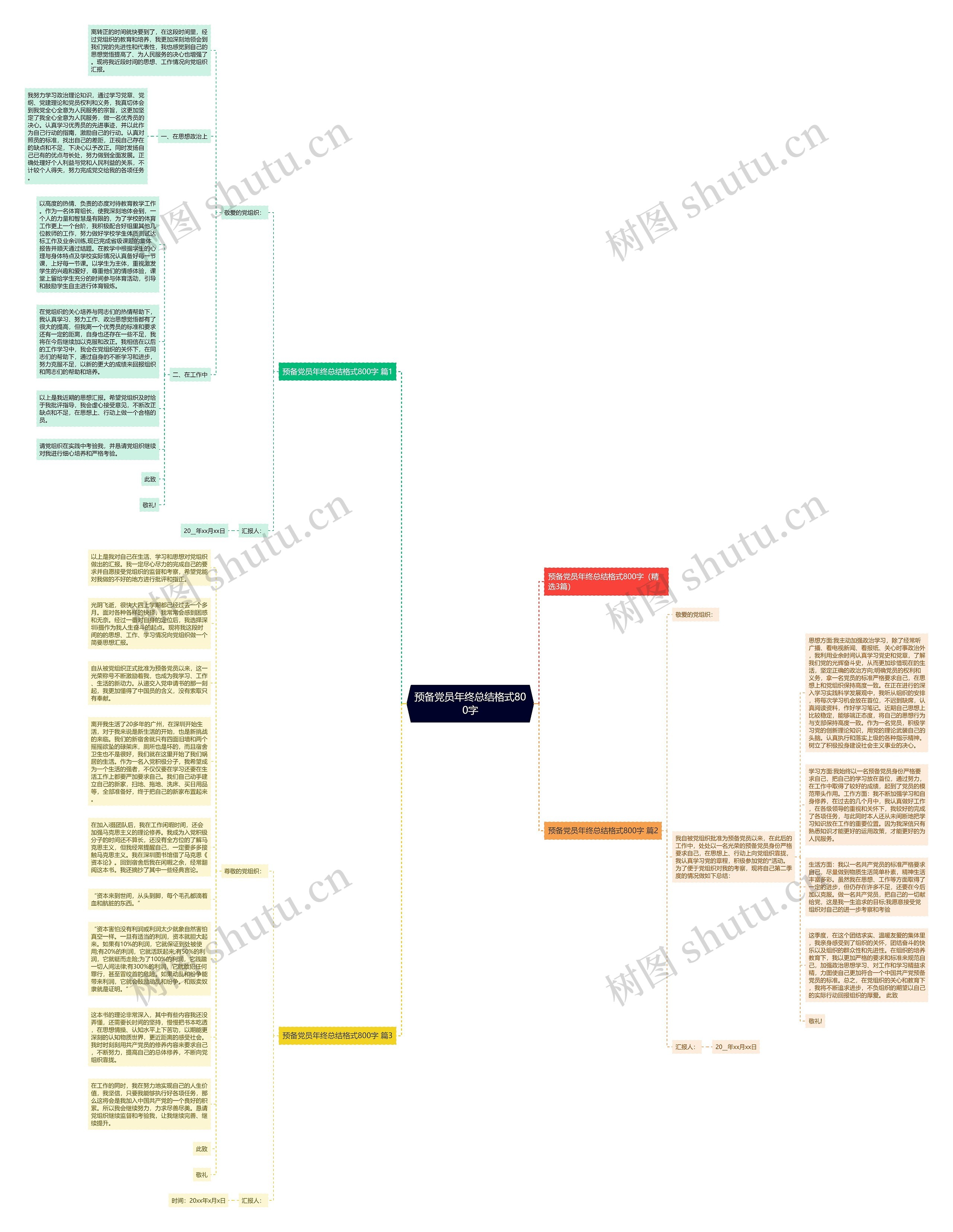 预备党员年终总结格式800字思维导图