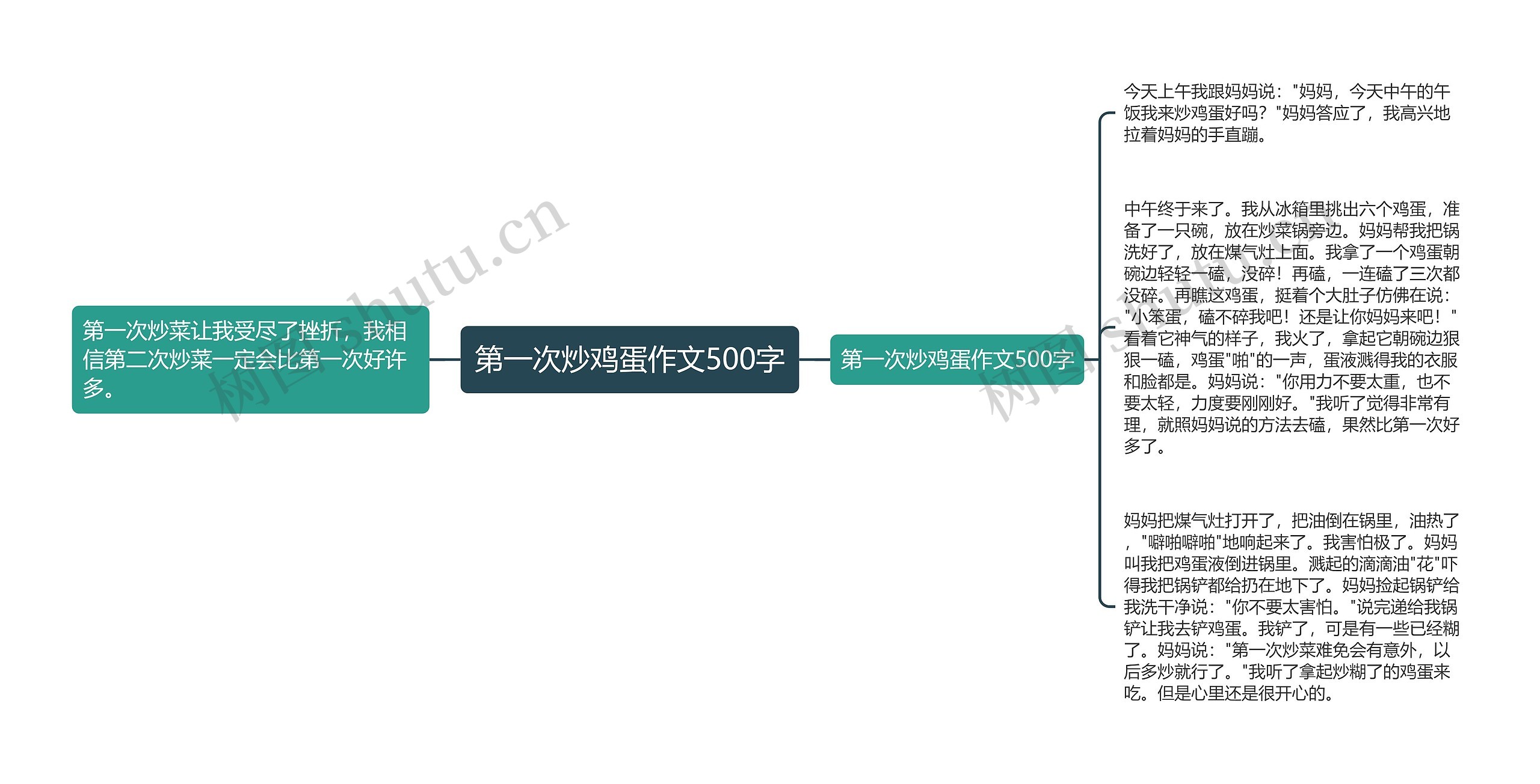 第一次炒鸡蛋作文500字