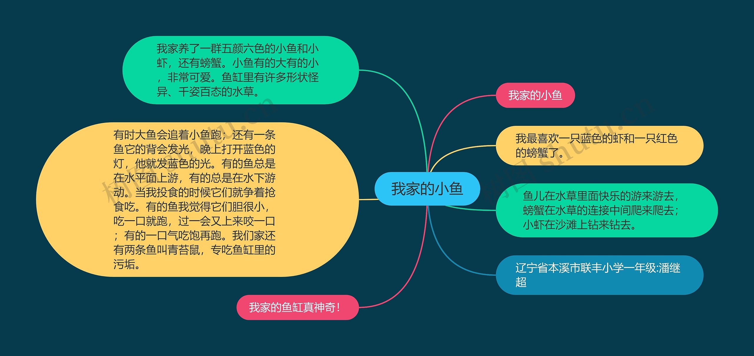 我家的小鱼思维导图