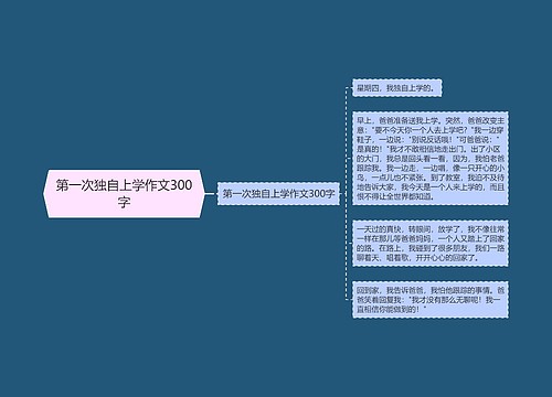 第一次独自上学作文300字