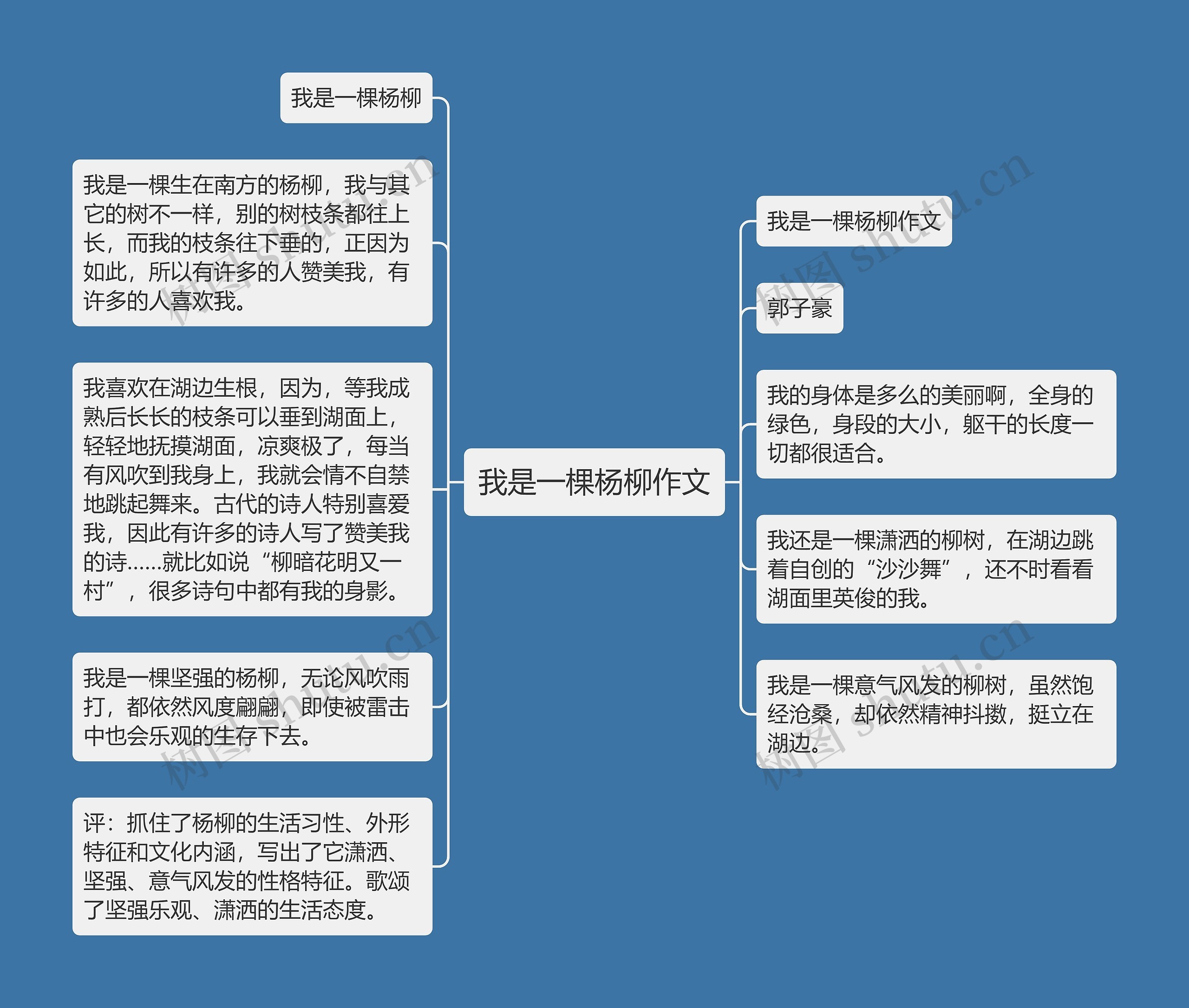 我是一棵杨柳作文思维导图