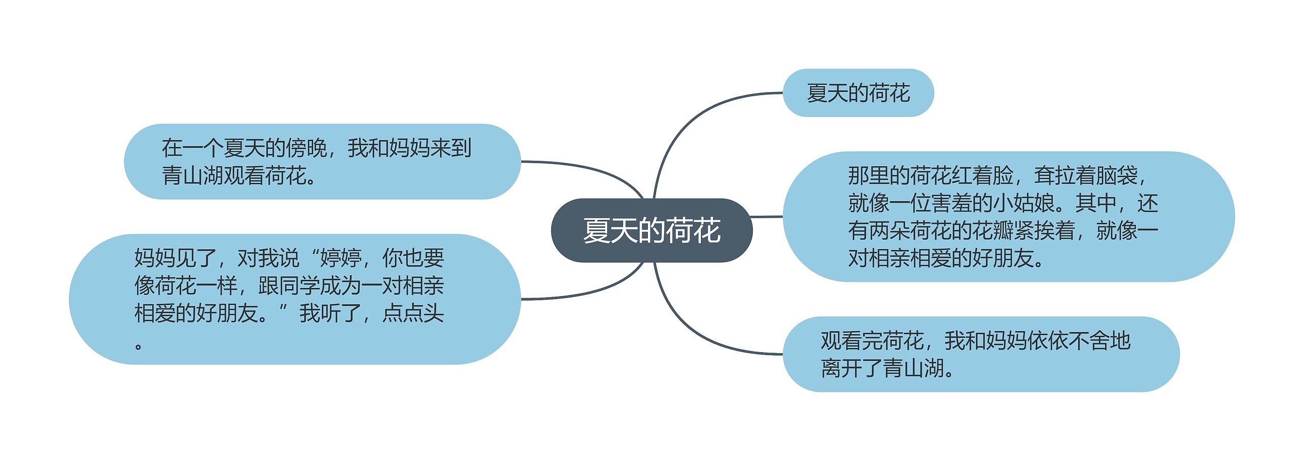 夏天的荷花思维导图