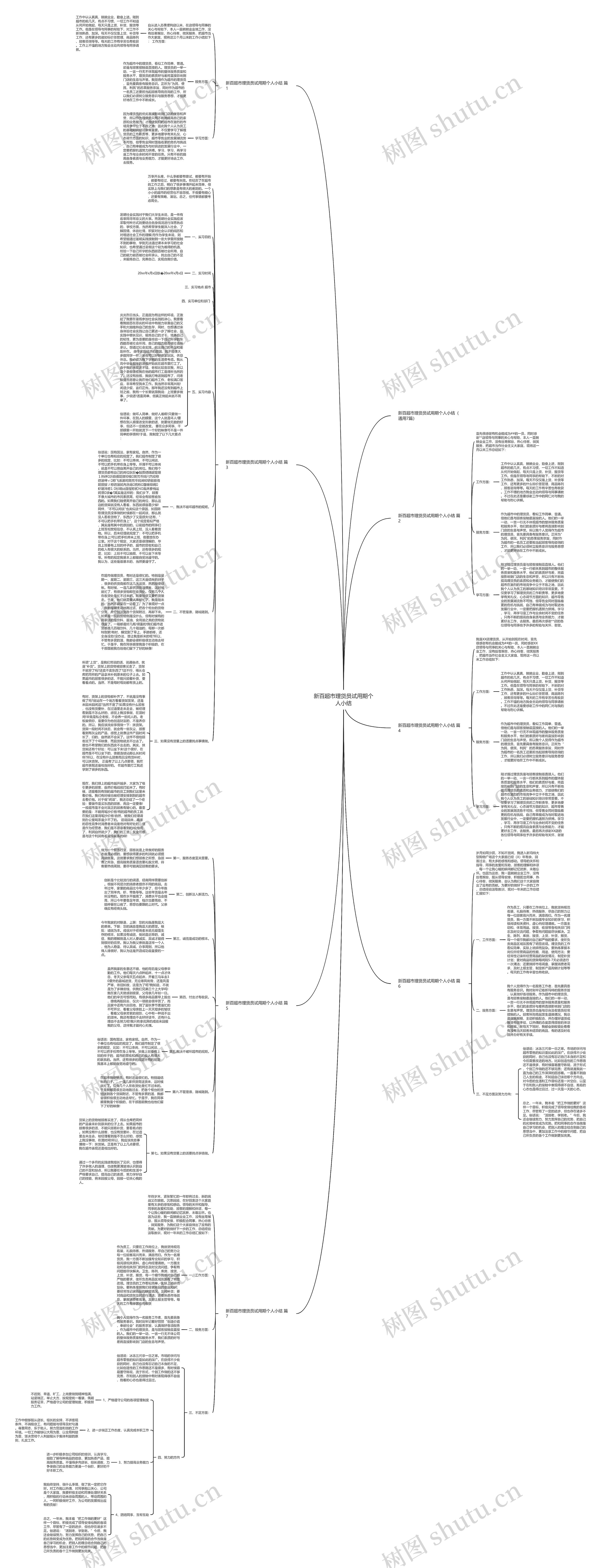 新百超市理货员试用期个人小结思维导图