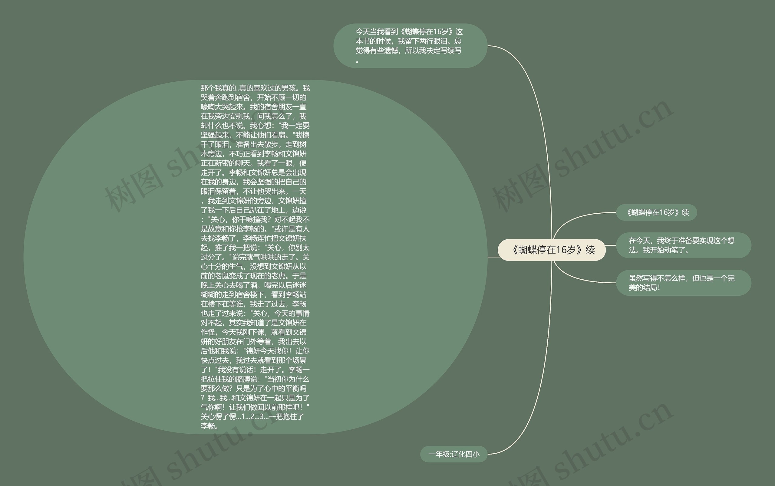 《蝴蝶停在16岁》续思维导图