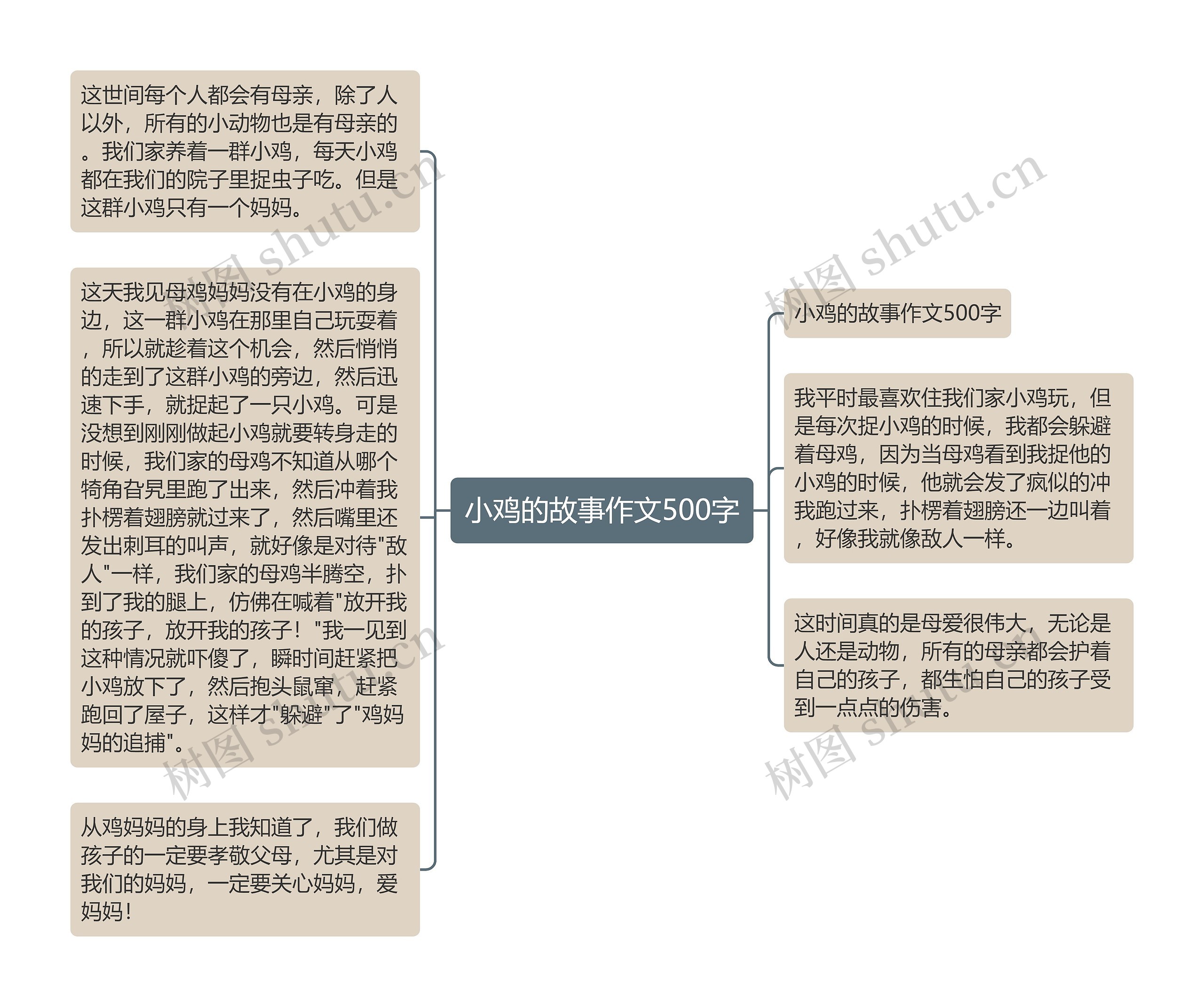 小鸡的故事作文500字思维导图