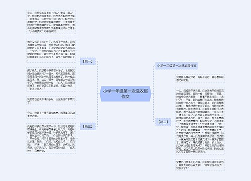 小学一年级第一次洗衣服作文