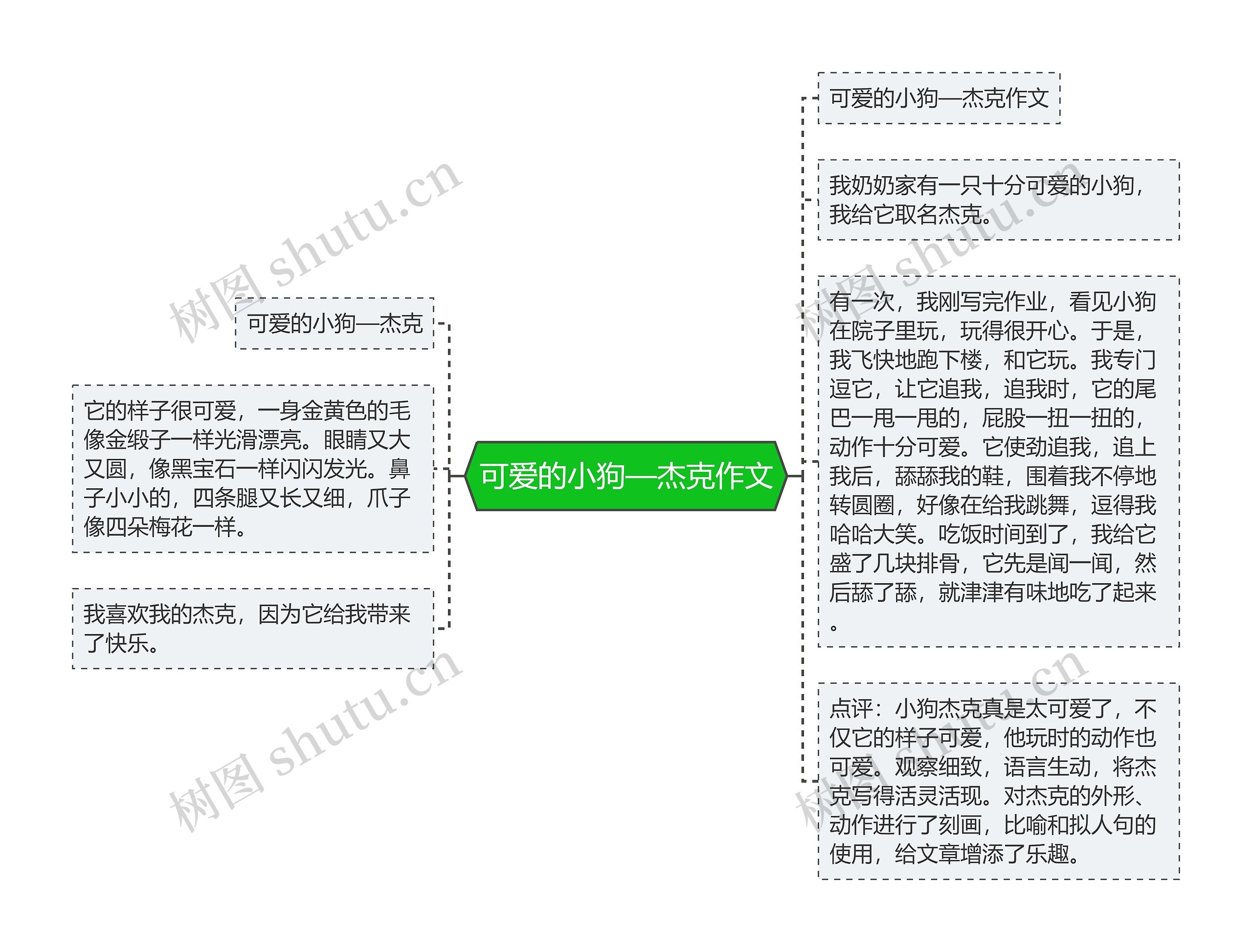 可爱的小狗—杰克作文