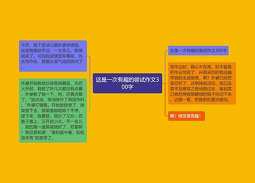 这是一次有趣的尝试作文300字