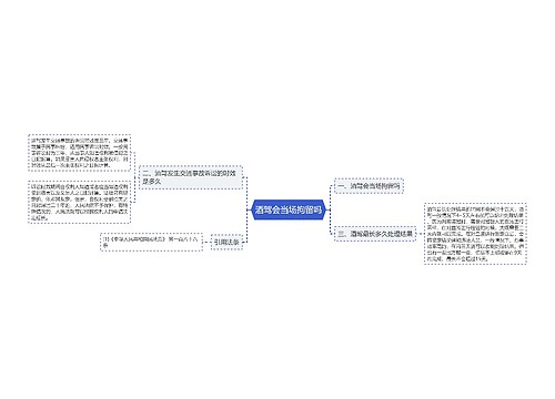 酒驾会当场拘留吗