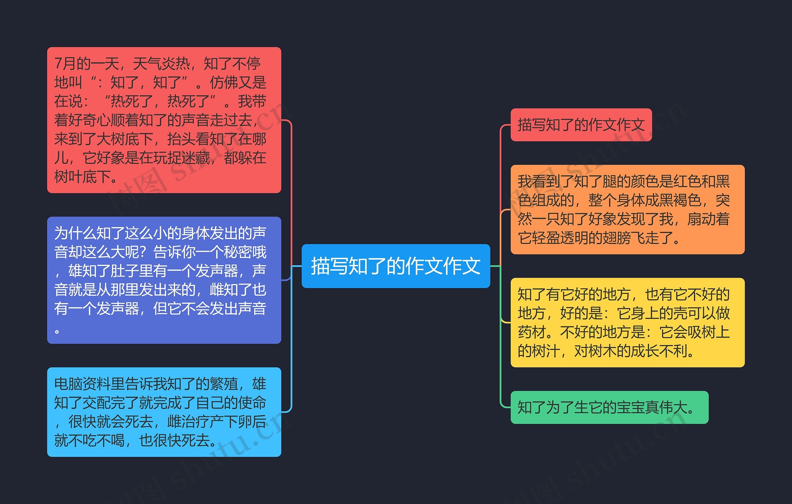 描写知了的作文作文