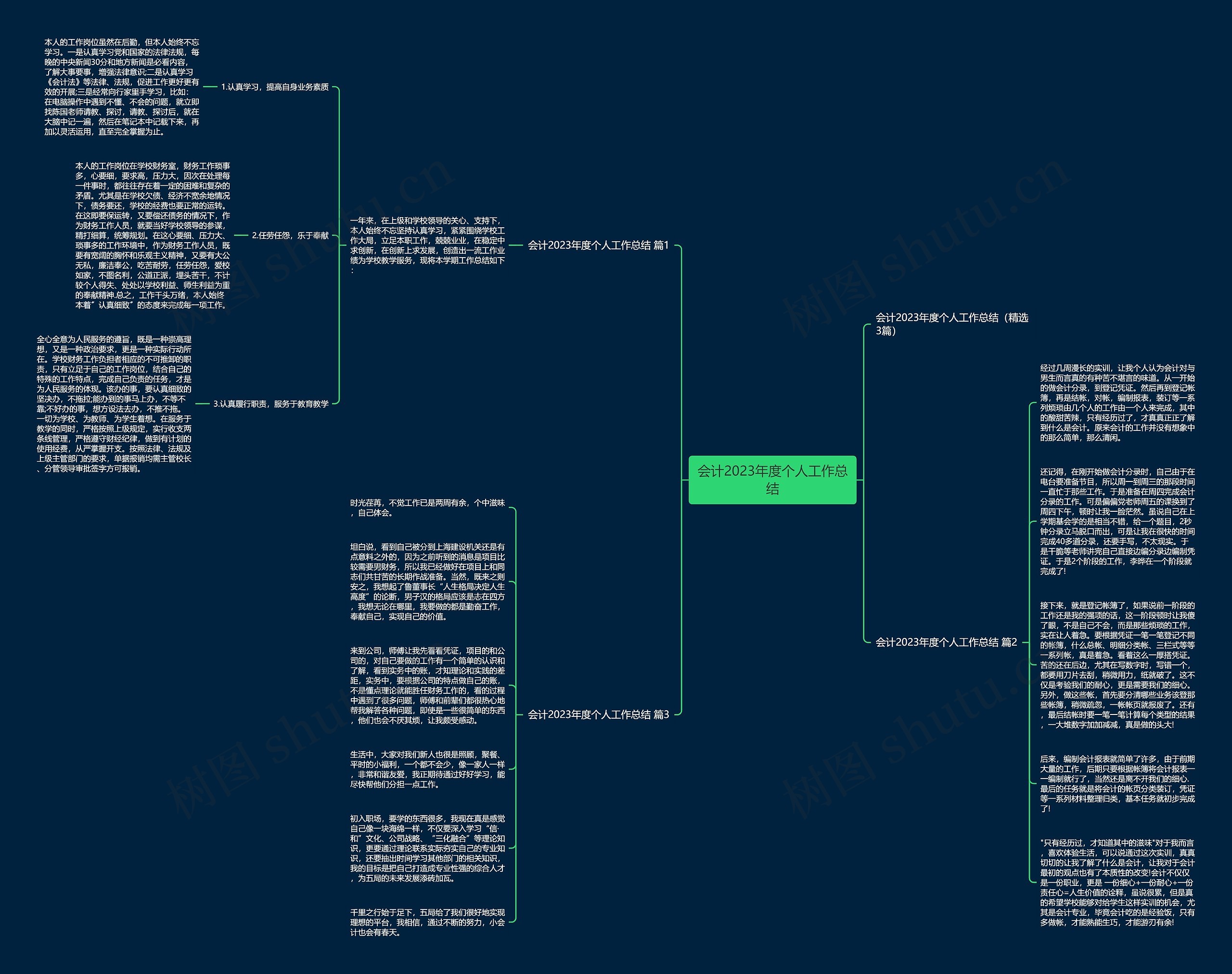 会计2023年度个人工作总结思维导图