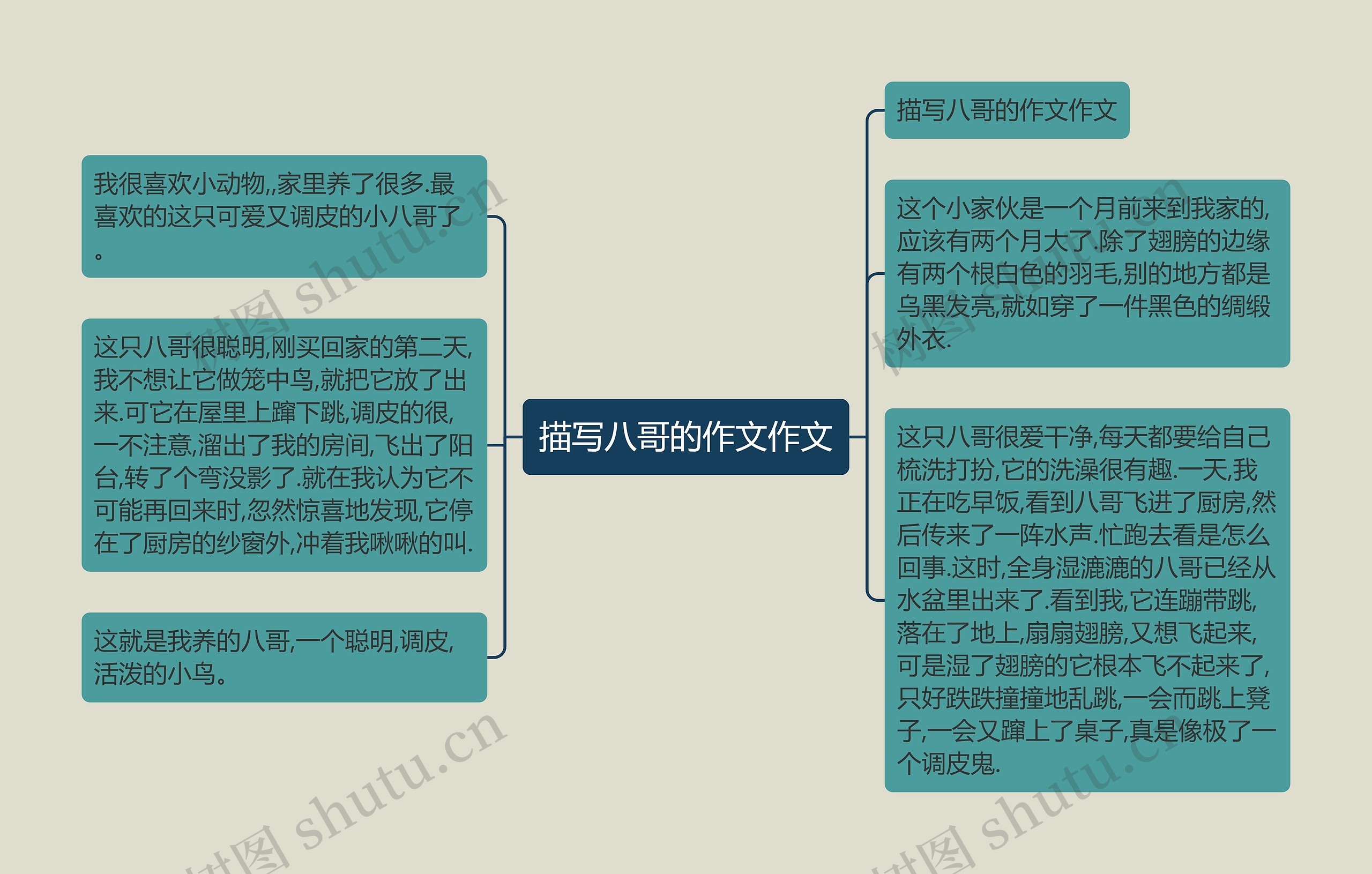 描写八哥的作文作文思维导图