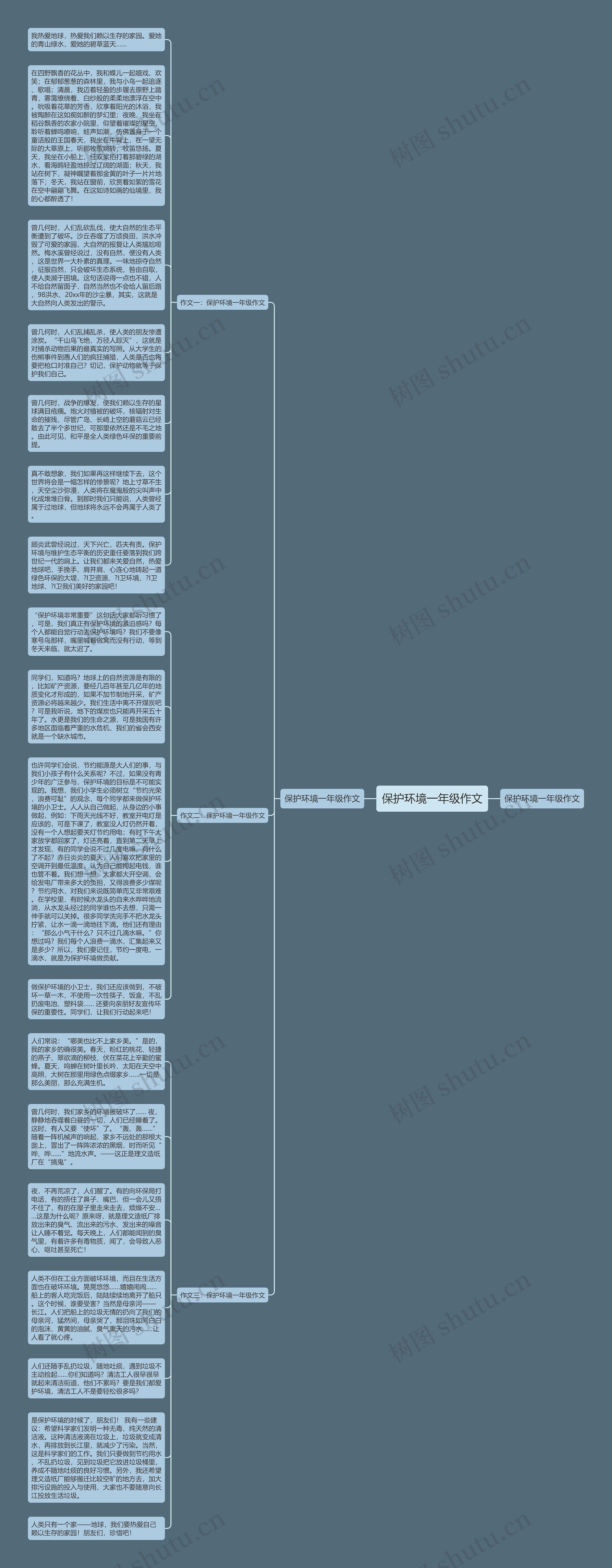 保护环境一年级作文思维导图