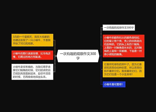 一次有趣的观察作文300字