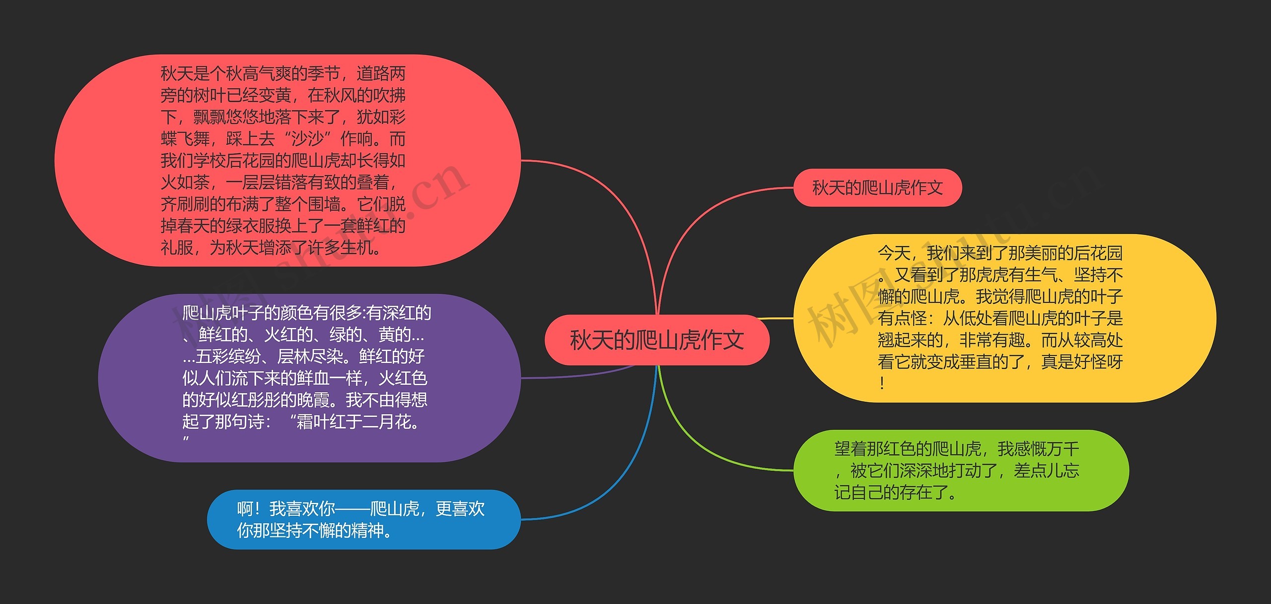 秋天的爬山虎作文