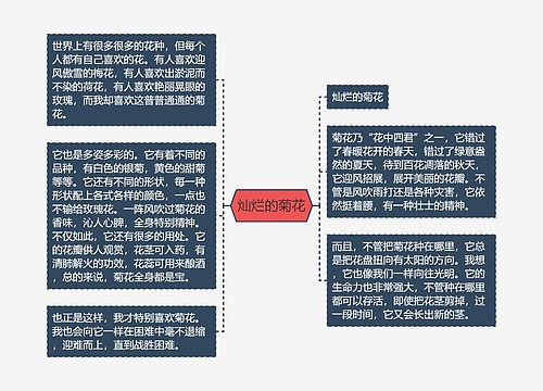 灿烂的菊花