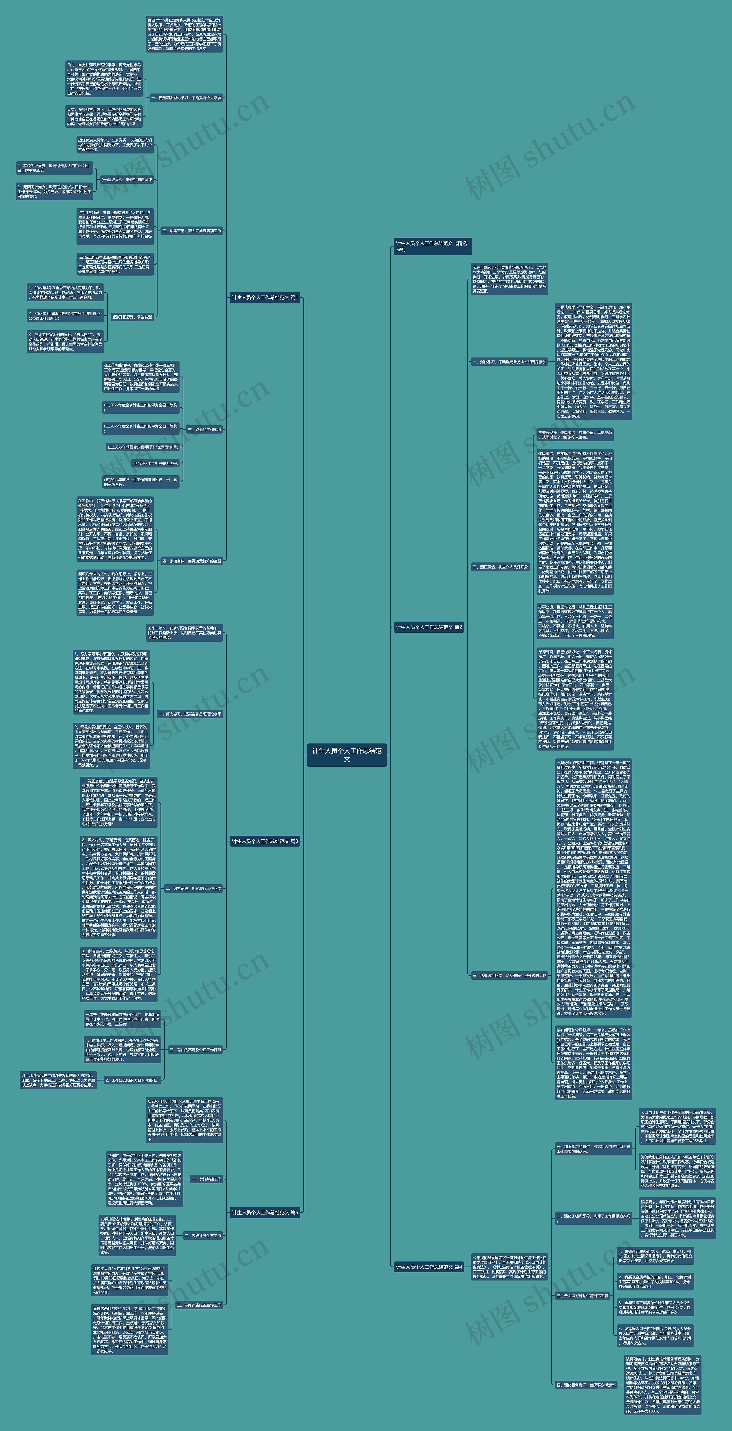 计生人员个人工作总结范文思维导图