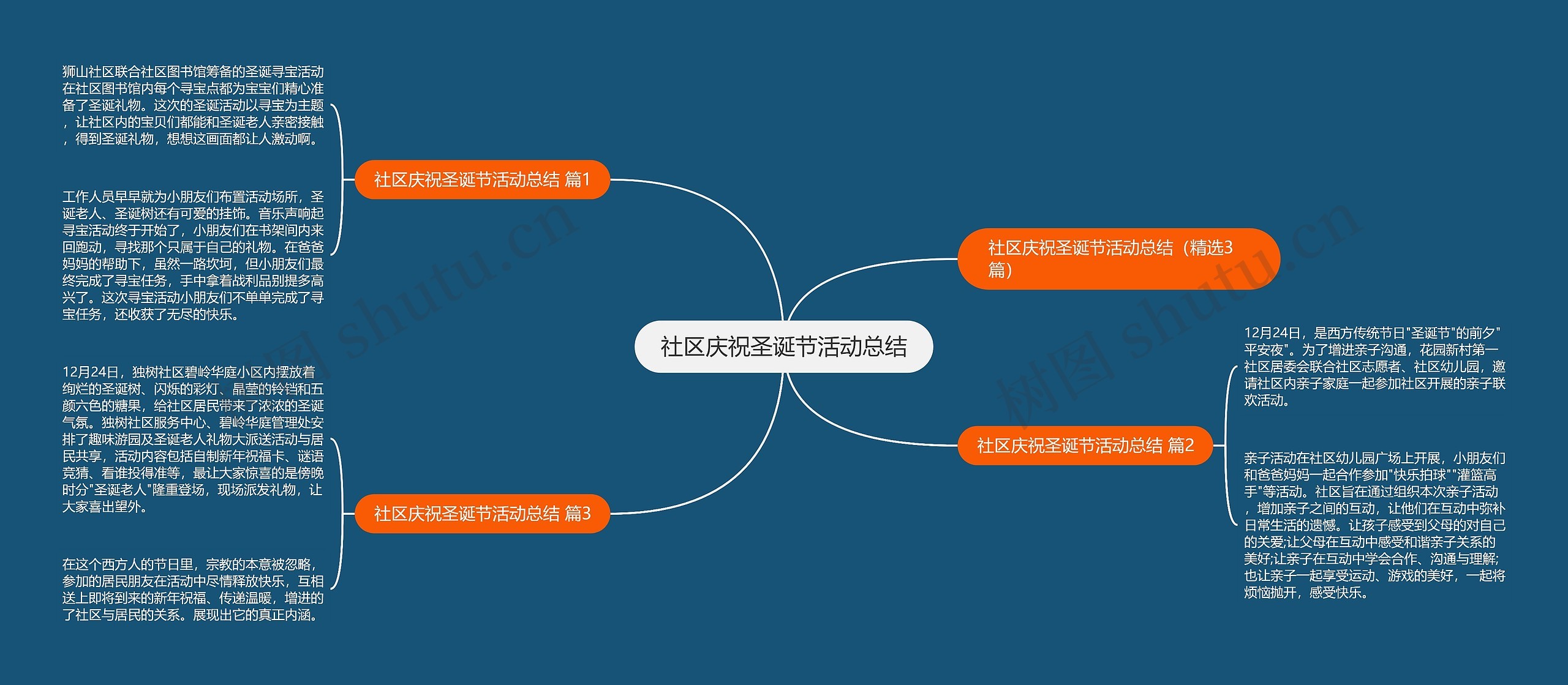 社区庆祝圣诞节活动总结思维导图