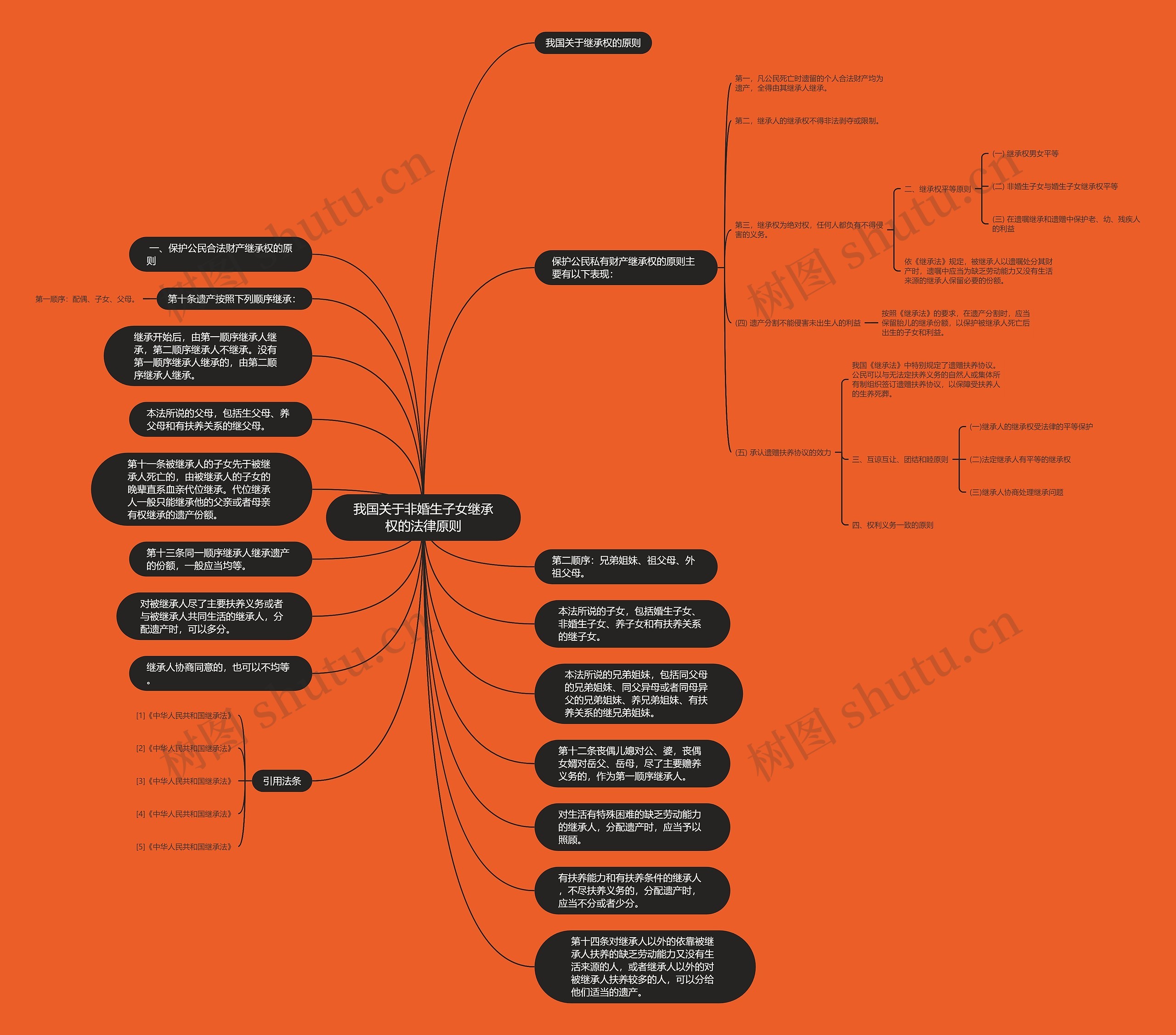 我国关于非婚生子女继承权的法律原则思维导图