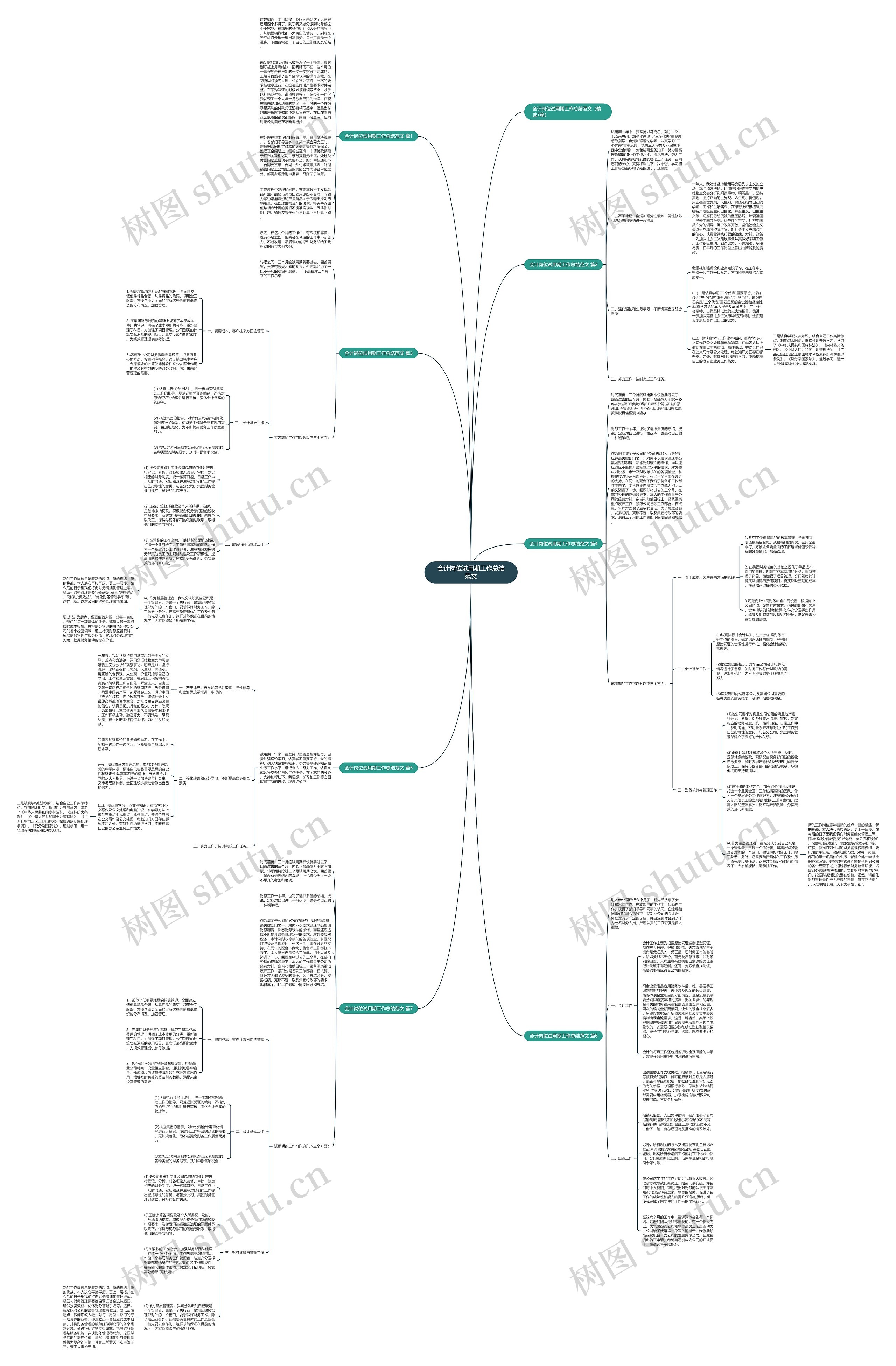 会计岗位试用期工作总结范文思维导图