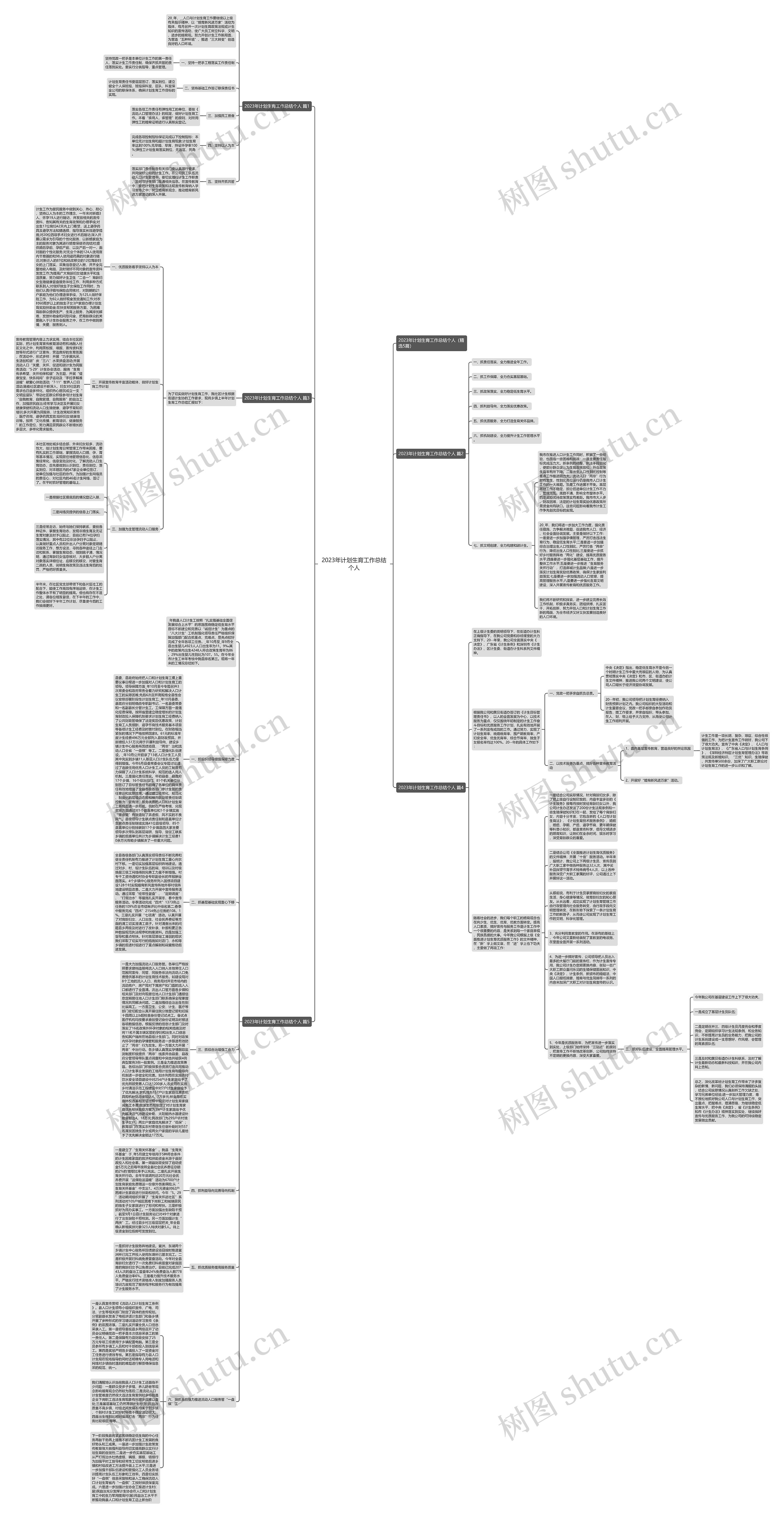 2023年计划生育工作总结个人思维导图