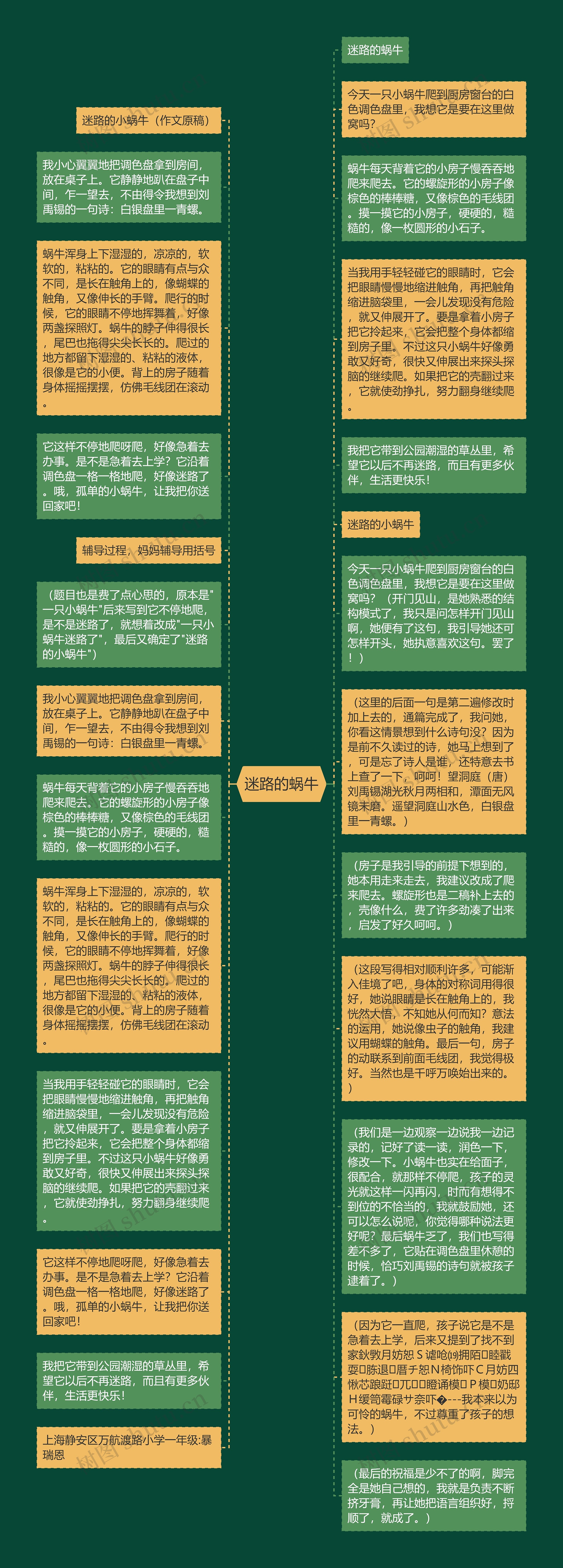 迷路的蜗牛思维导图