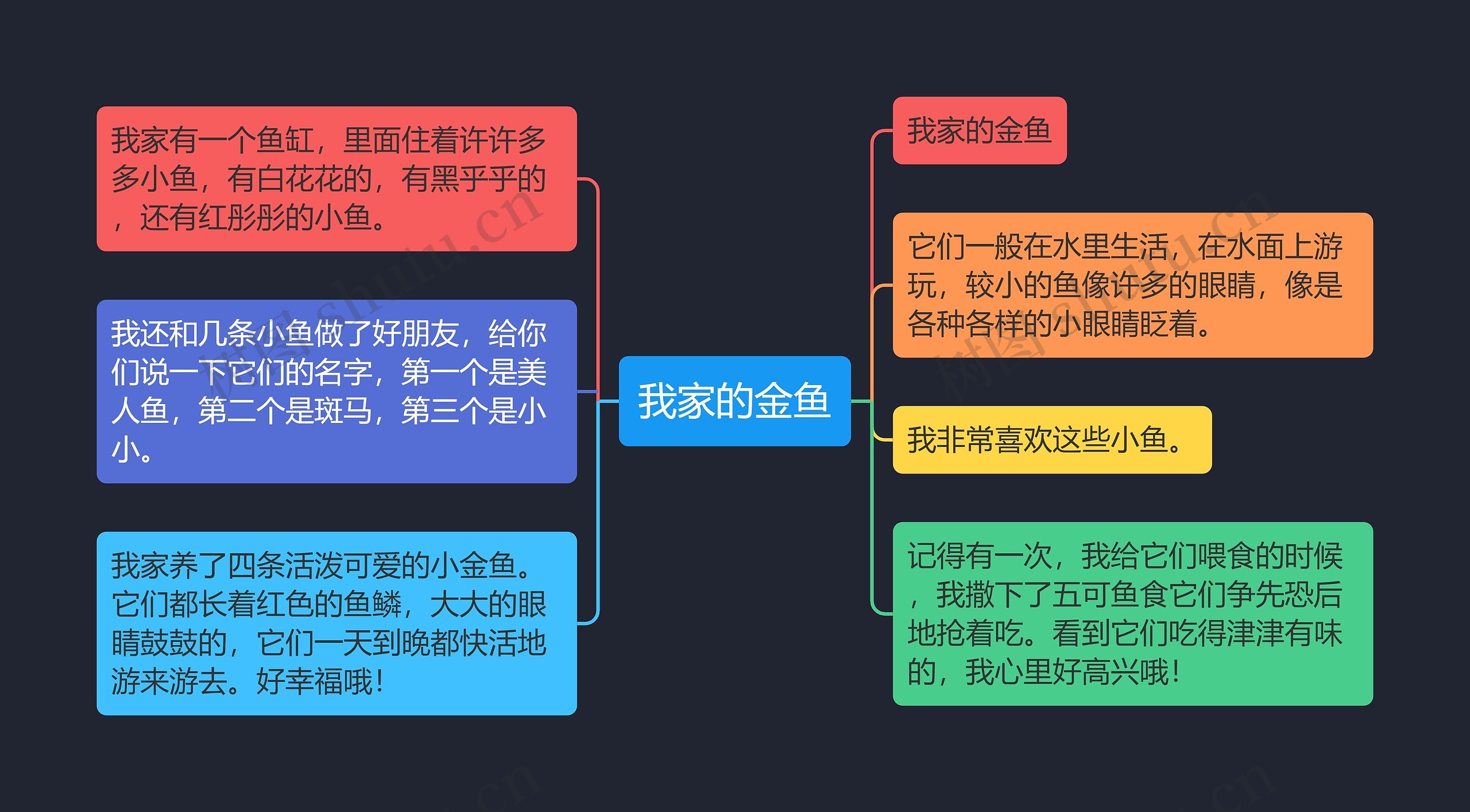 我家的金鱼思维导图