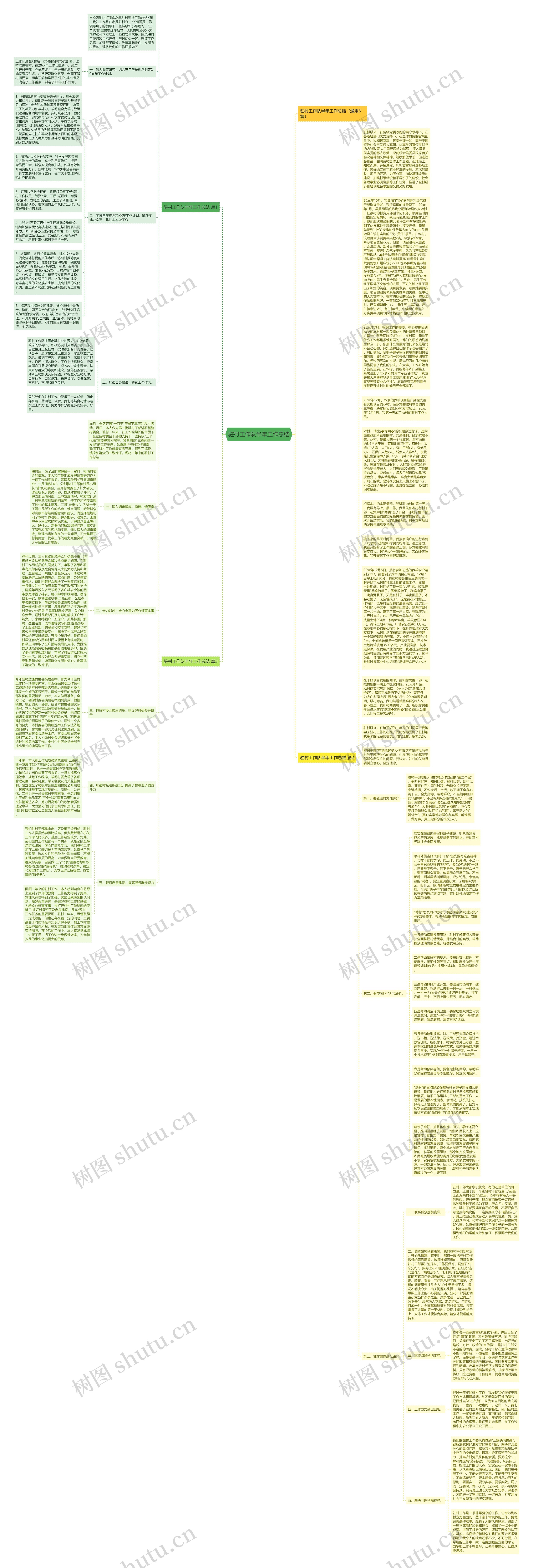 驻村工作队半年工作总结思维导图