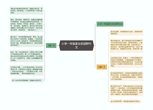 小学一年级家乡的田野作文