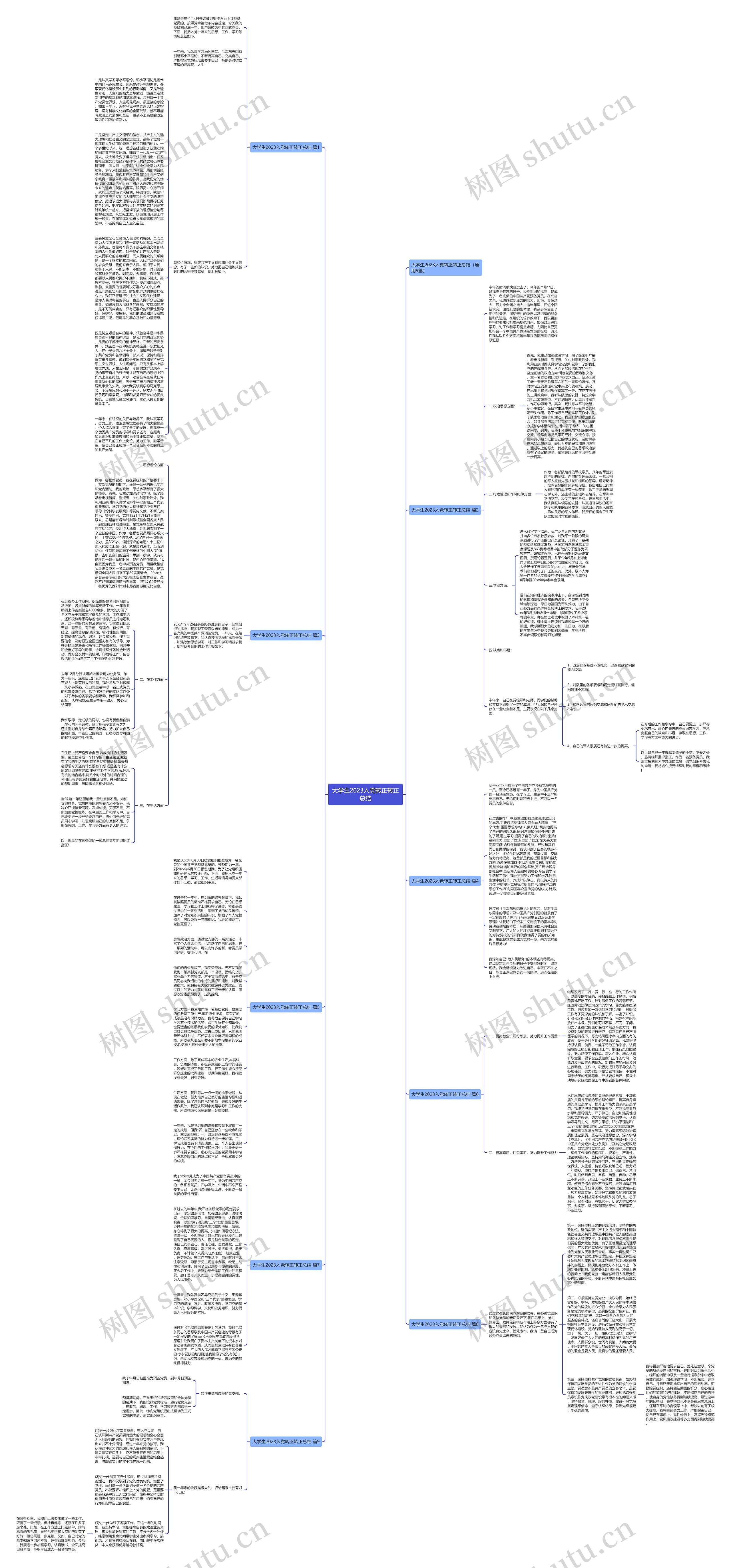 大学生2023入党转正转正总结思维导图
